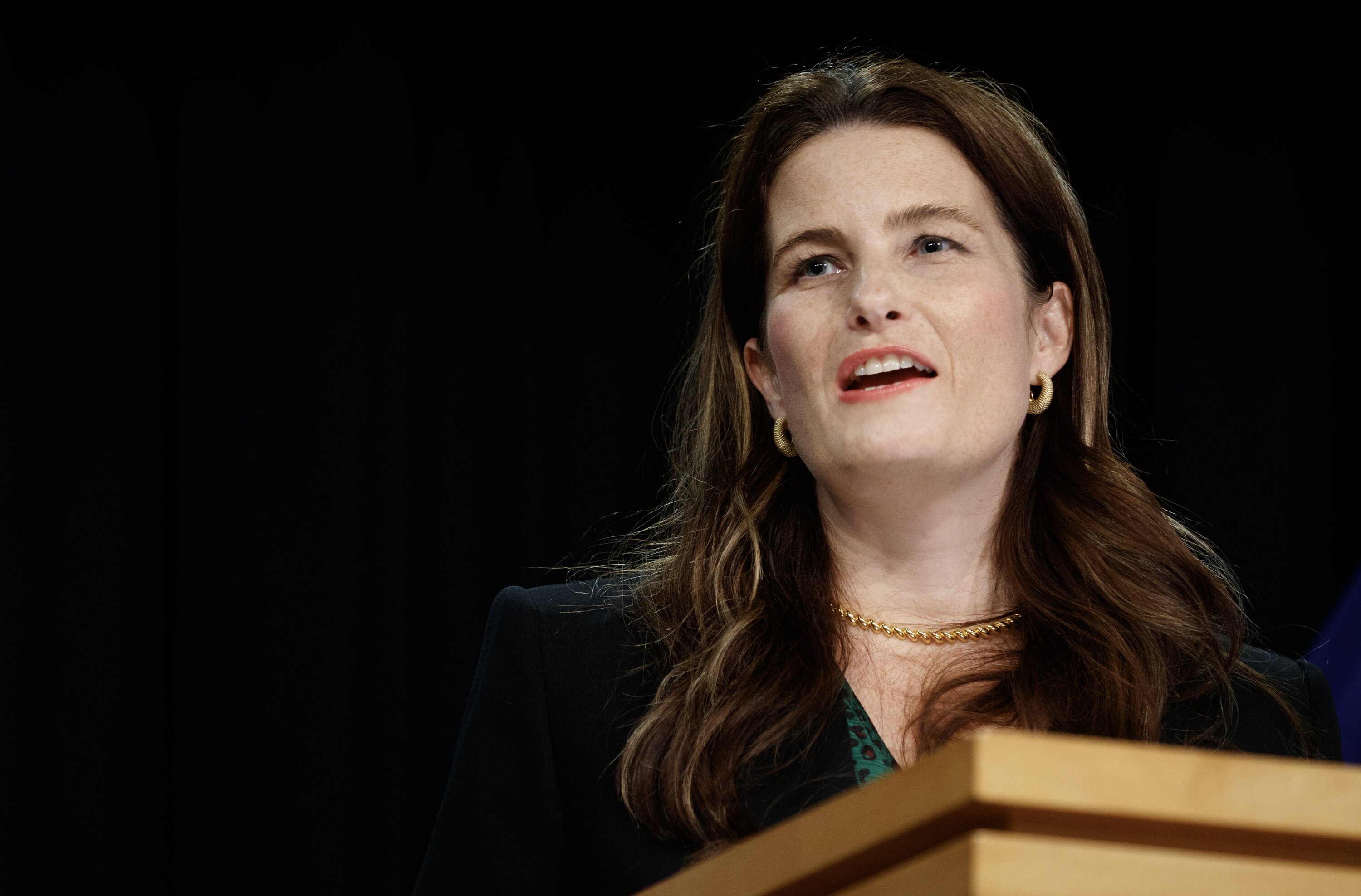 Social Investment Minister Nicola Willis. Photo / Mark Mitchell.