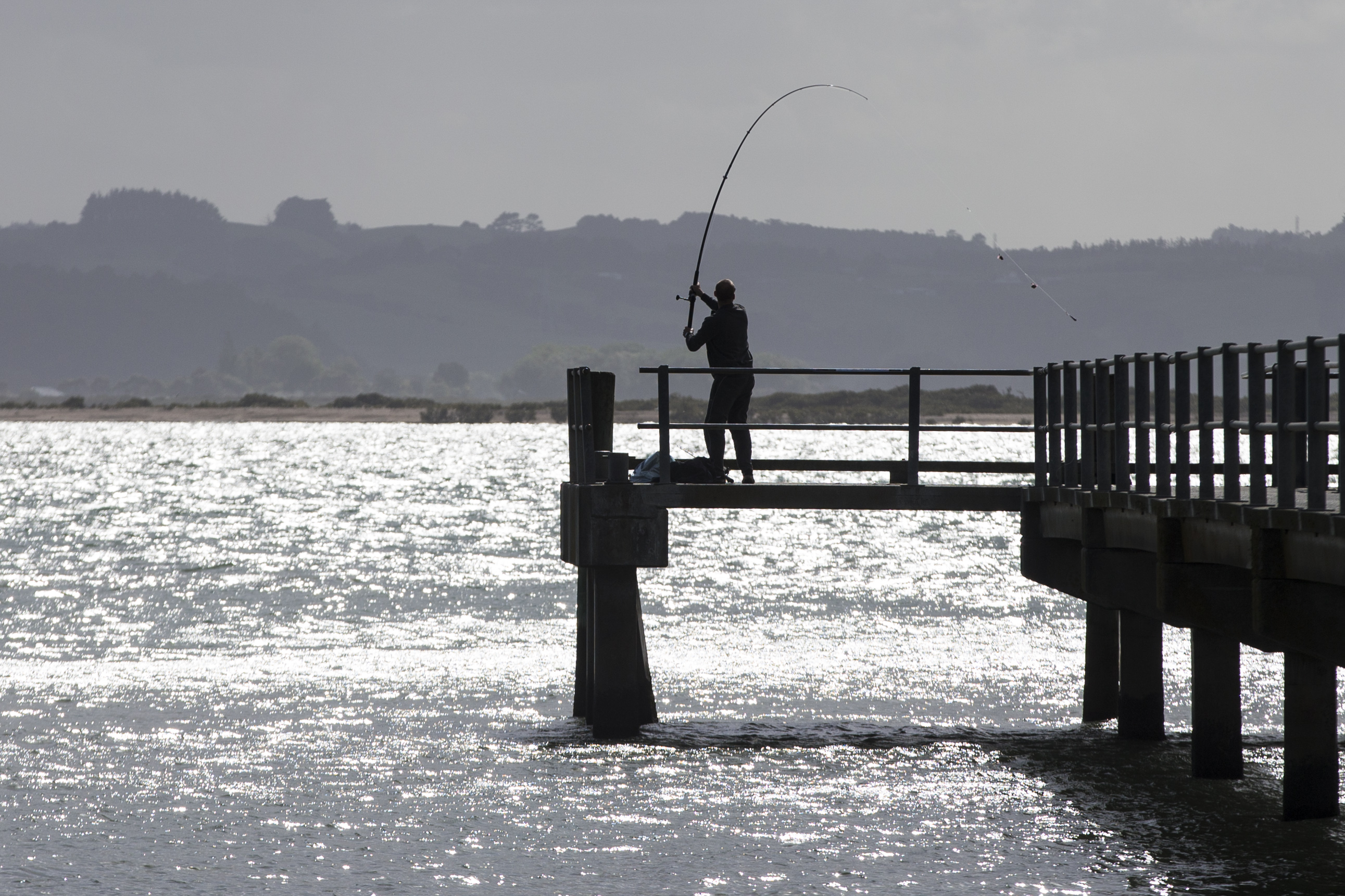 Improving the health of the Kaipara Harbour could help turn around the flailing fish health, a scientist says. Photo / Jason Oxenham