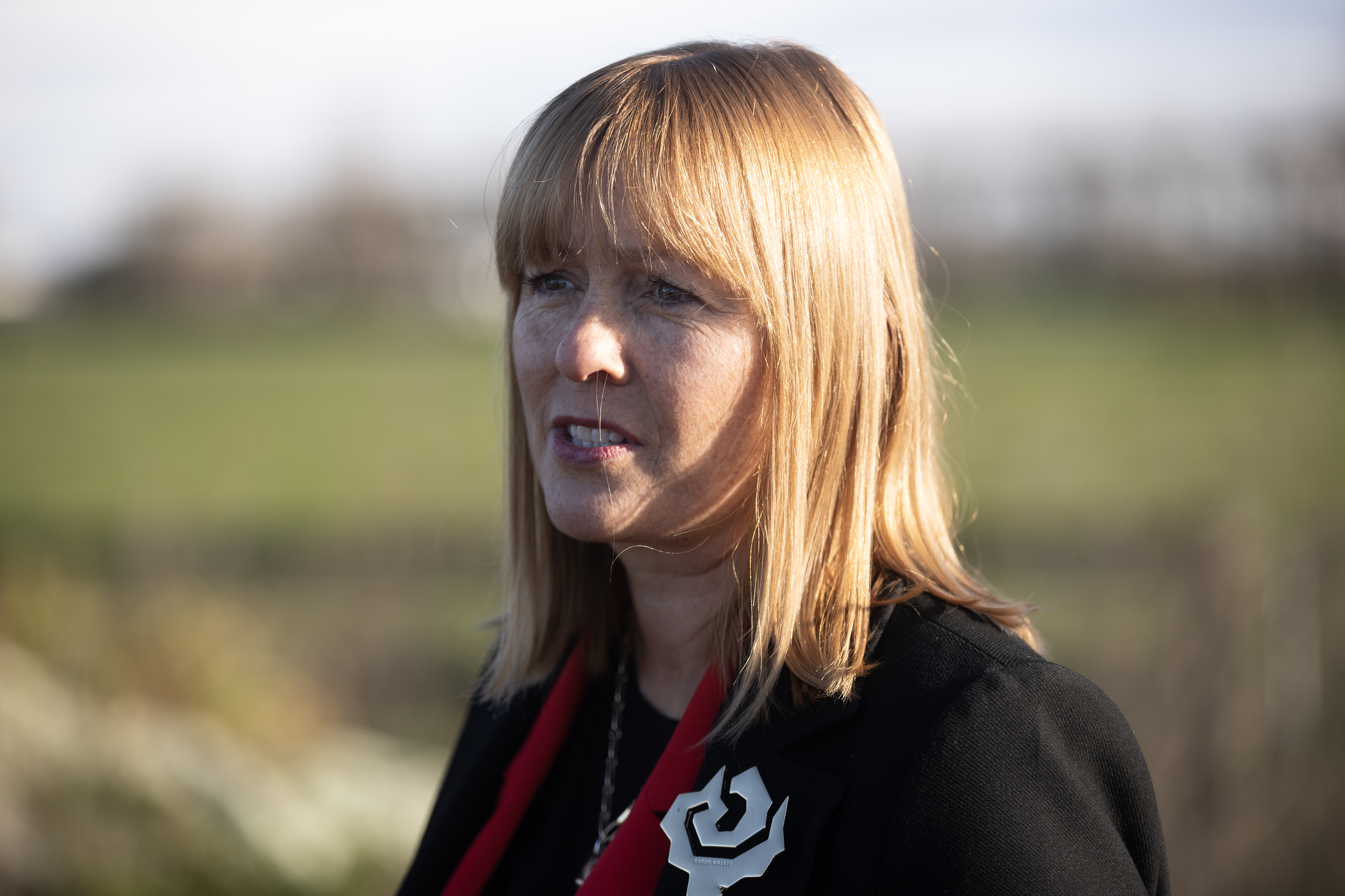 Detective Inspector Nicola Reeves is the officer in charge of Operation Helo. Photo / George Heard