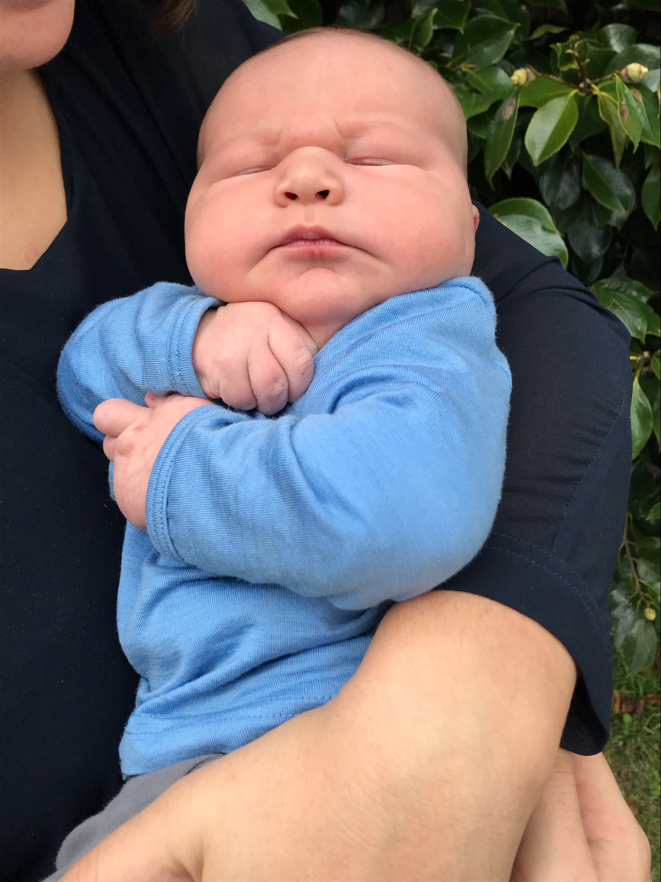 Kinderrijmpjes Componist Pacifische eilanden Whopping 6kg (13-pound) newborn shocks mum and Hamilton medical staff - NZ  Herald