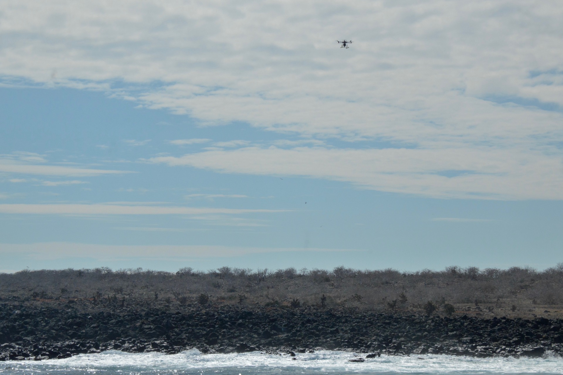 One of the drones over North Seymour Island. Photo / DGNP