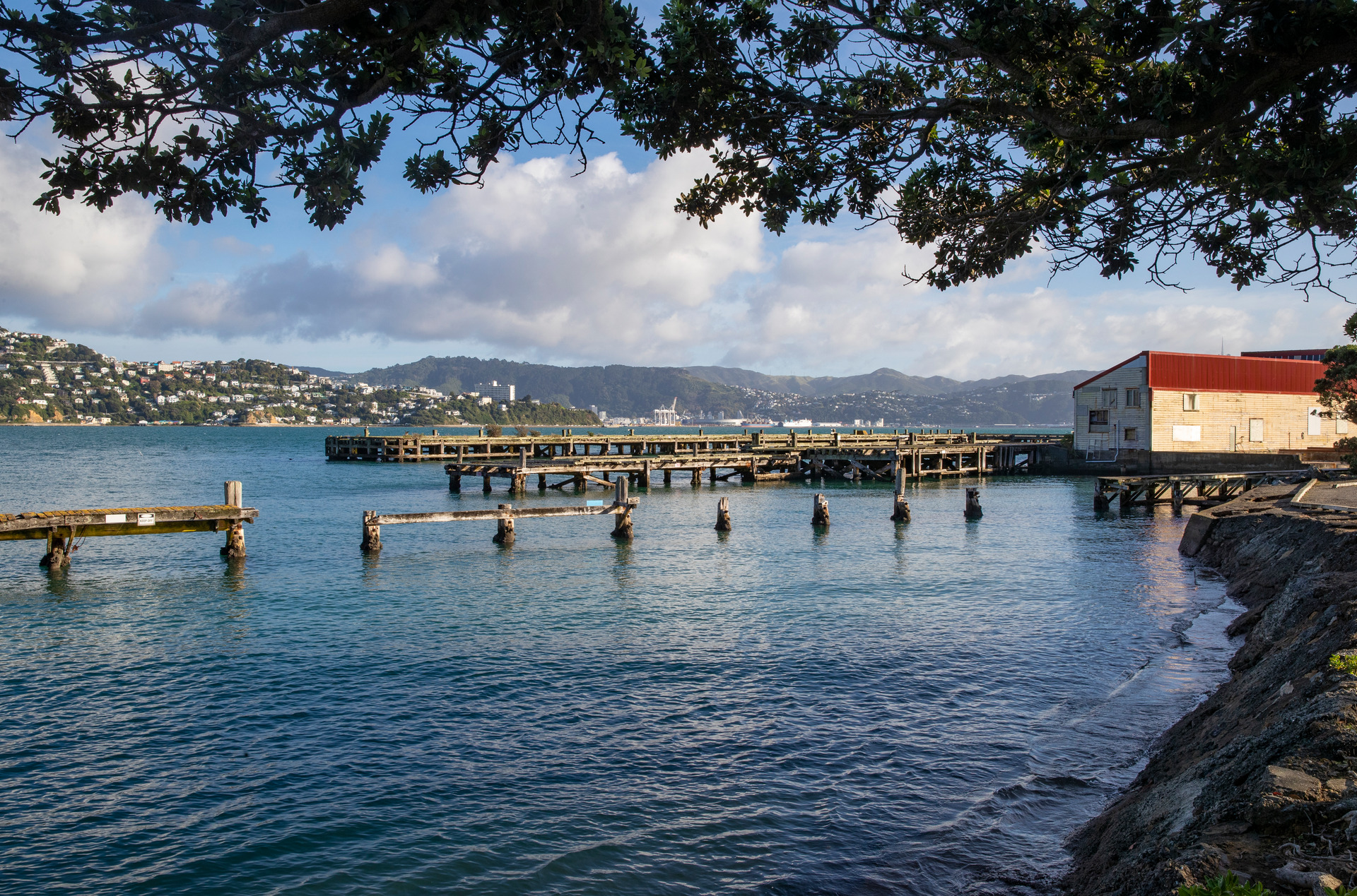 Shelly Bay, Miramar, Wellington. Photo / by Mark Mitchell.