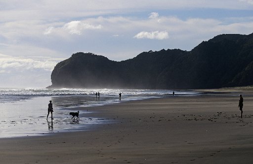 Piha beach.