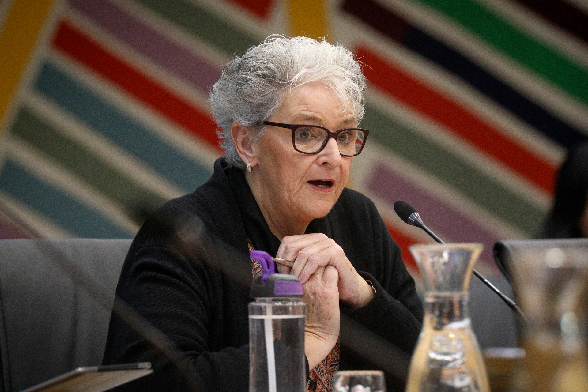 Rotorua Rural Community Board chairwoman Shirley Trumper. Photo / Andrew Warner