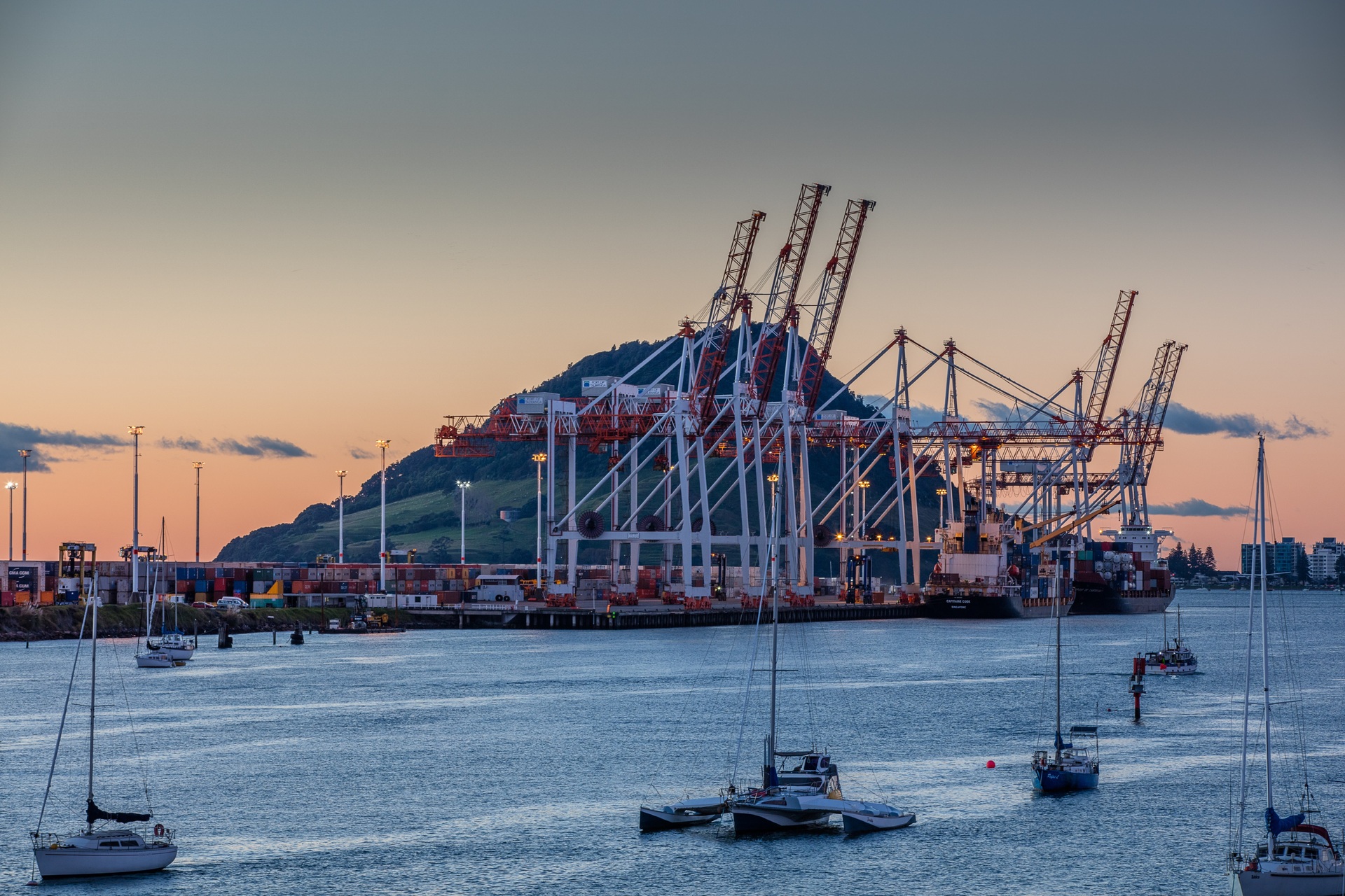 Port of Tauranga, the country's biggest cargo gateway.