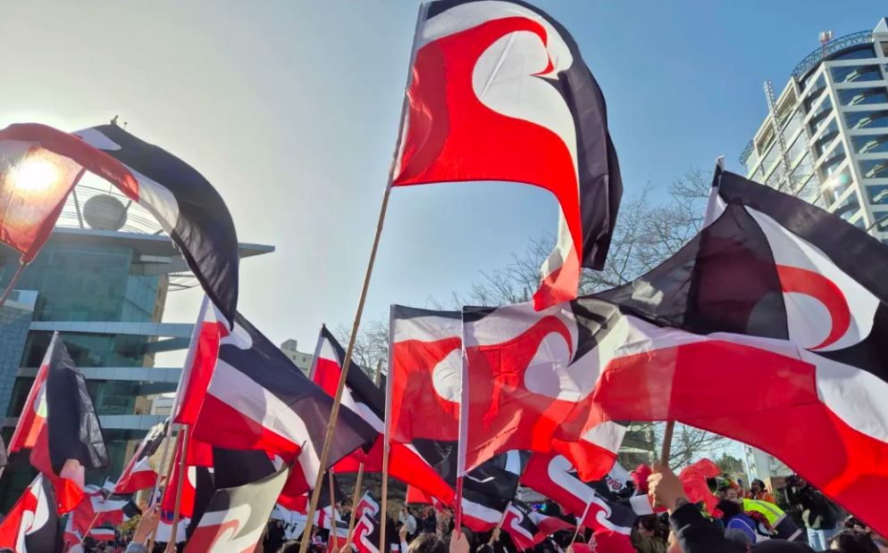 The hīkoi against the proposed Bill is going ahead as planned. Photo / RNZ, Jessica Hopkins