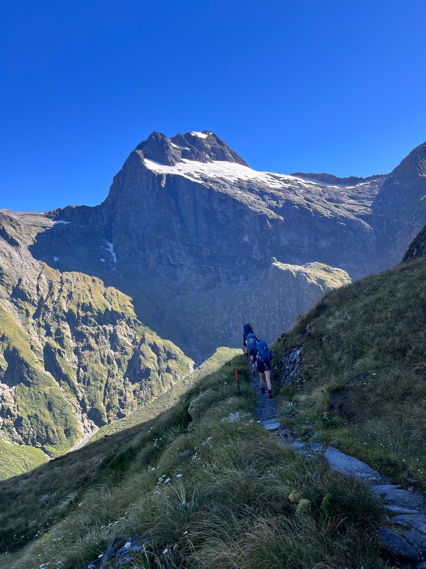 Trampers make their way across the MacKinnon Pass on the Milford Track, towards the Jervois Glacier. Photo / Thomas Bywater