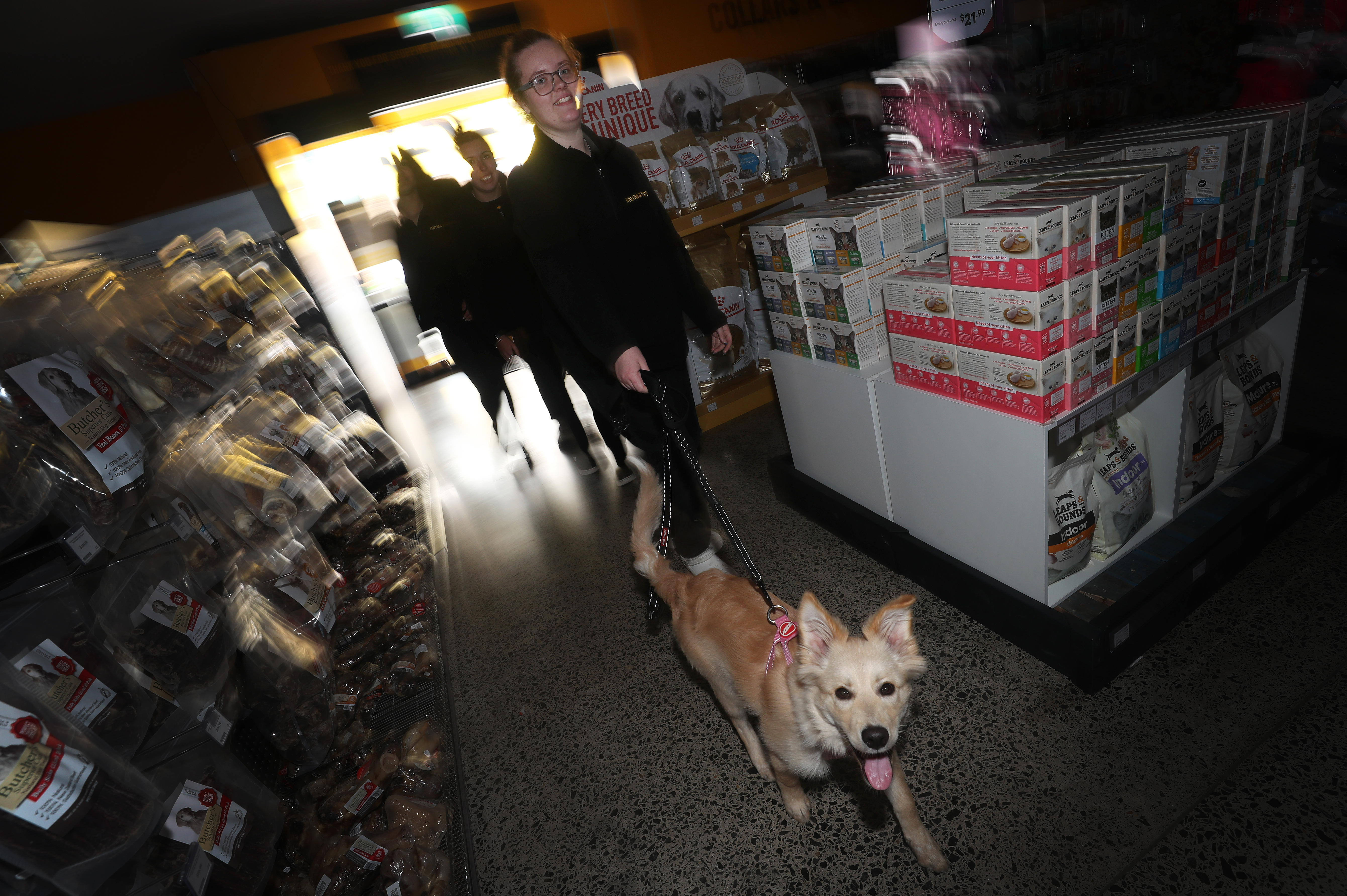 Animates Whangārei acting manager Ashaia Muriwai with dog Athena. Photo / Michael Cunningham  

