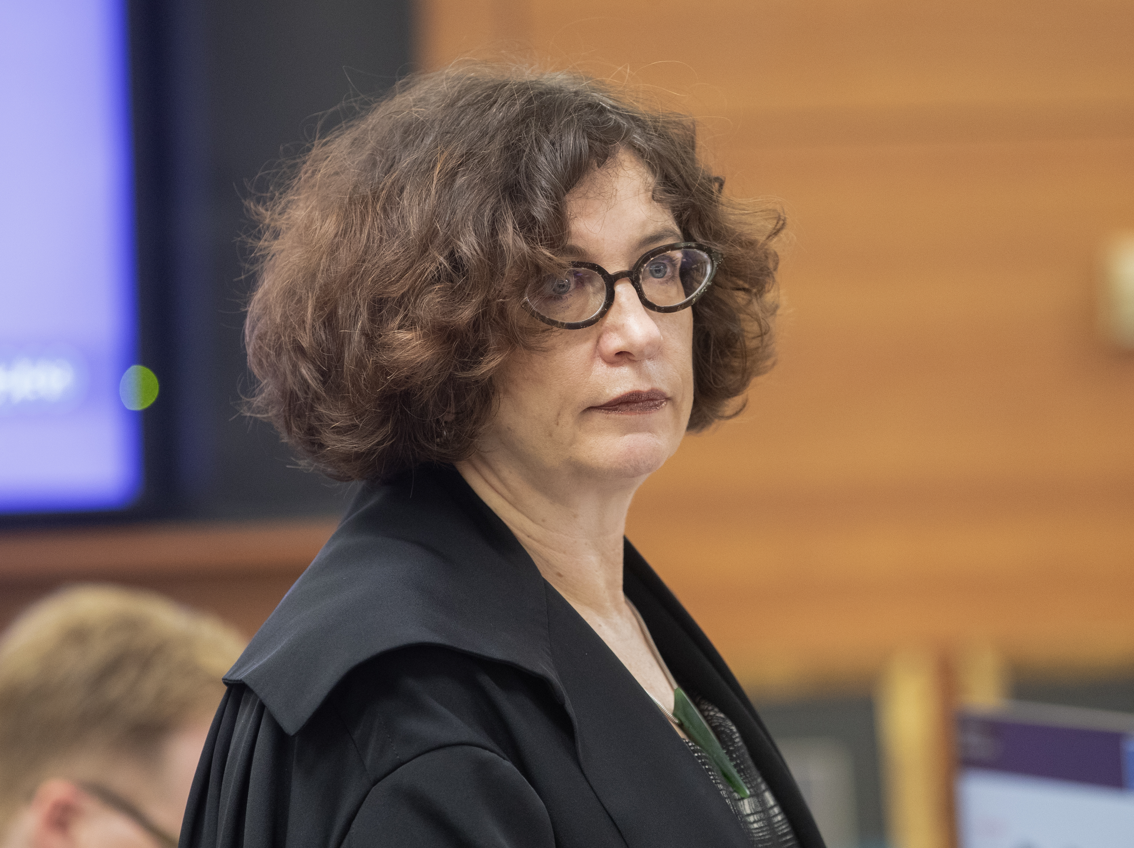 King's Counsel Karen Feint at today's opening in the Wellington High Court of a case aimed at resolving the long-running saga of the Nelson Tenths Reserves. Photo / Mark Mitchell