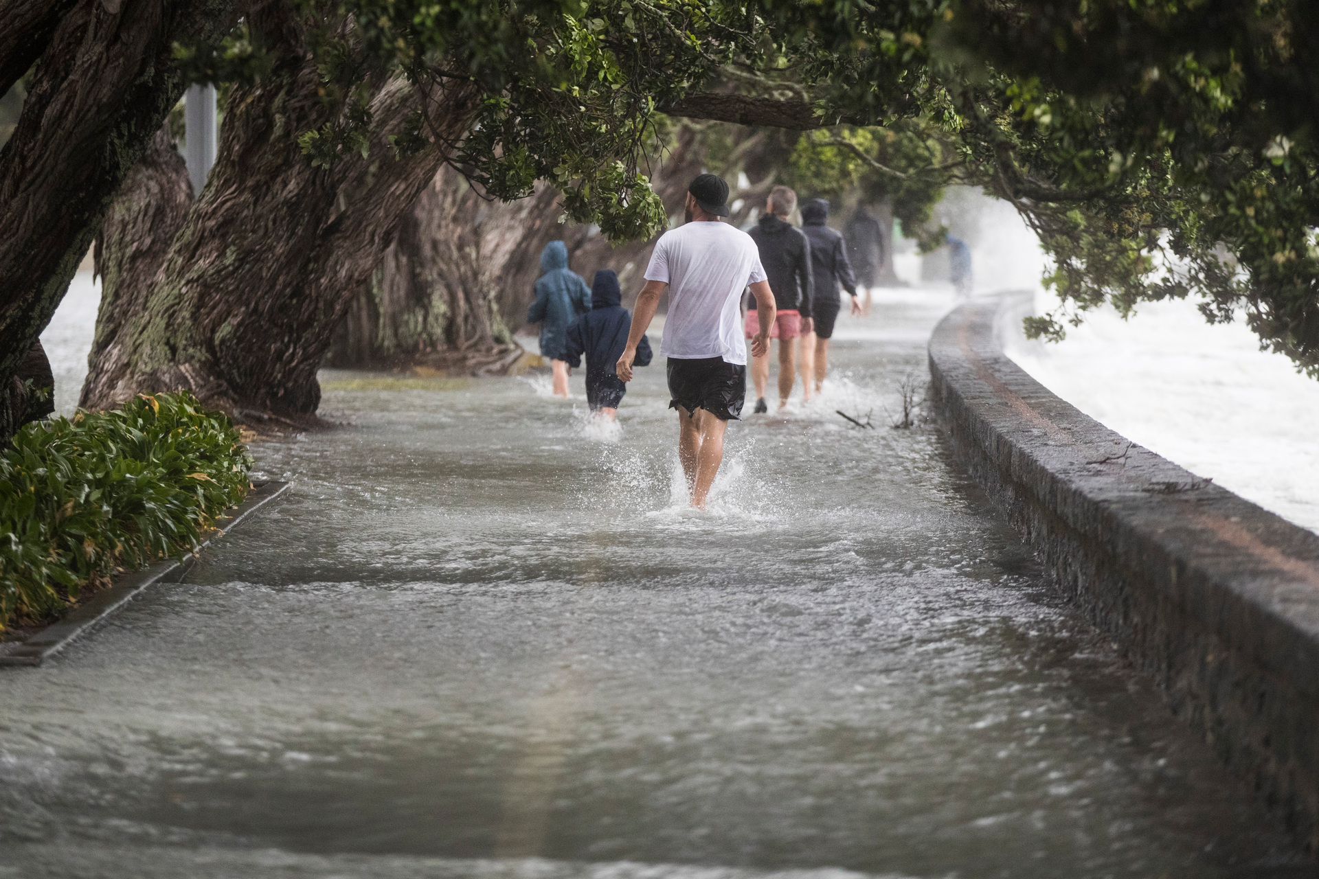 Auckland's Tamaki Drive is already vulnerable to flooding from storm surge. Photo / Jason Oxenham.