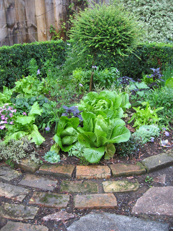 Herbs add fresh interest to any meal and are a priority for the edible garden. Photo / Supplied