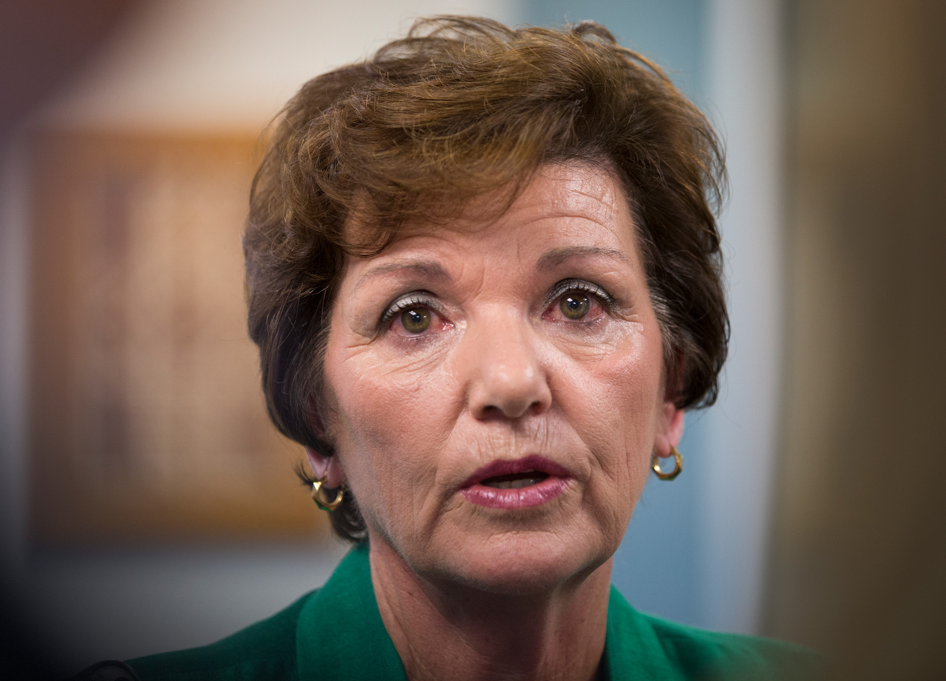 Commission chairwoman and former National MP Anne Tolley. Photo / File 