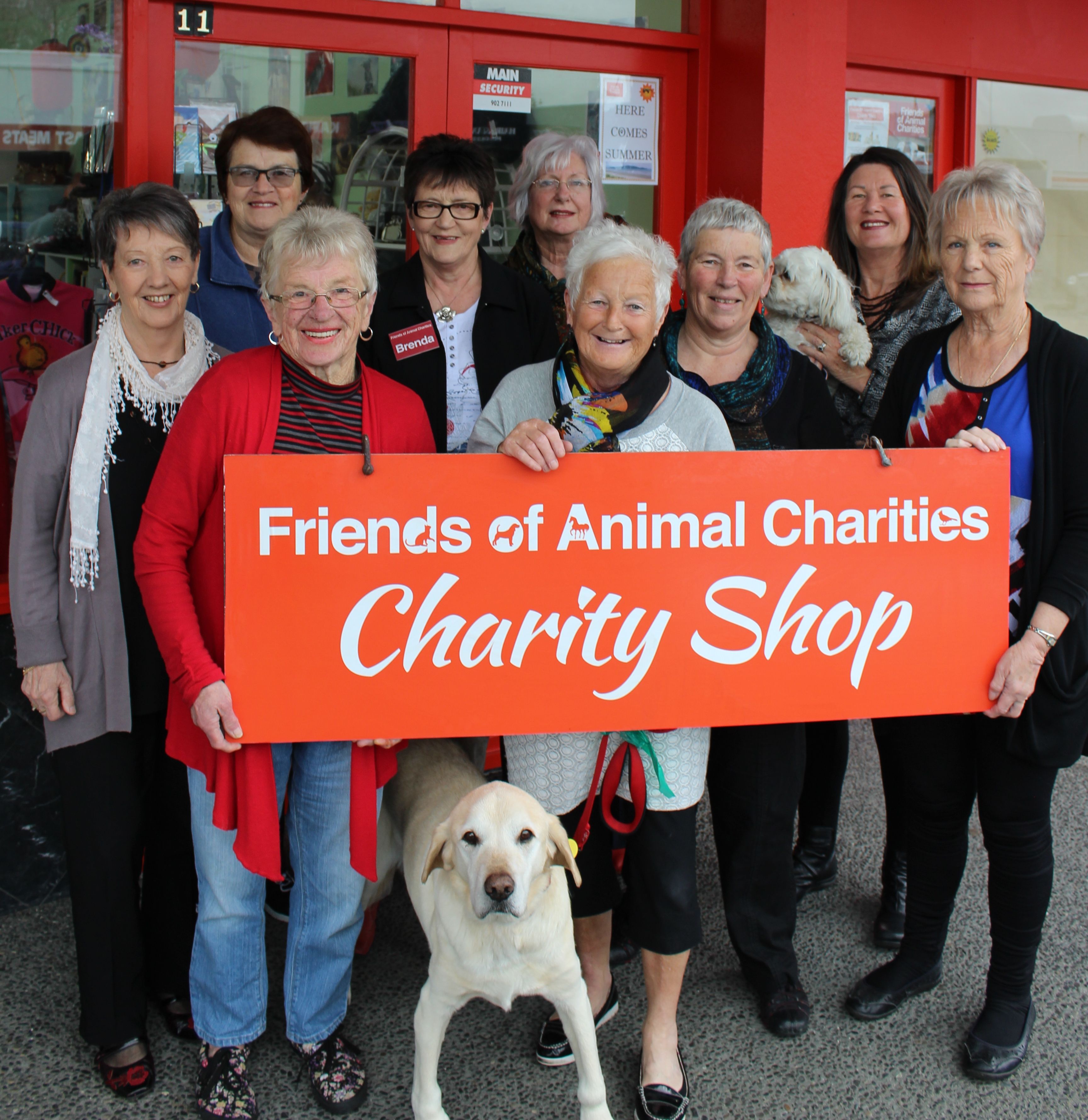 Charity's a friend to all animals - NZ Herald