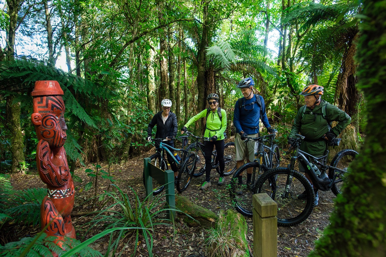 The Timber Trail is one of 23 Ngā Haerenga Great Rides of New Zealand.  Photo / Visit Ruapehu NZ