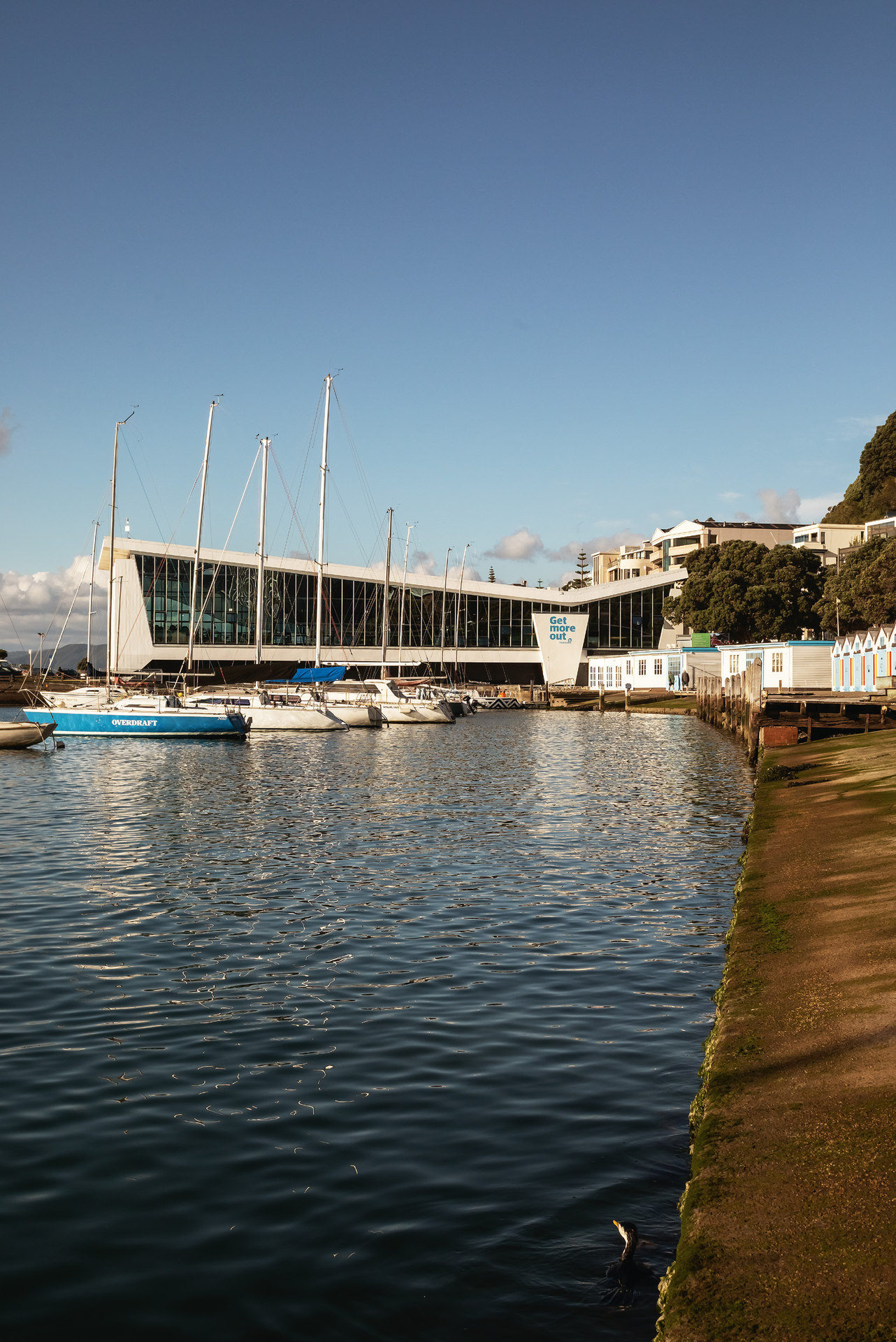 Freyberg Pool. Photo / Patrick Reynolds for photography and publisher Massey University Press for Wellington Architecture: A Walking Guide 