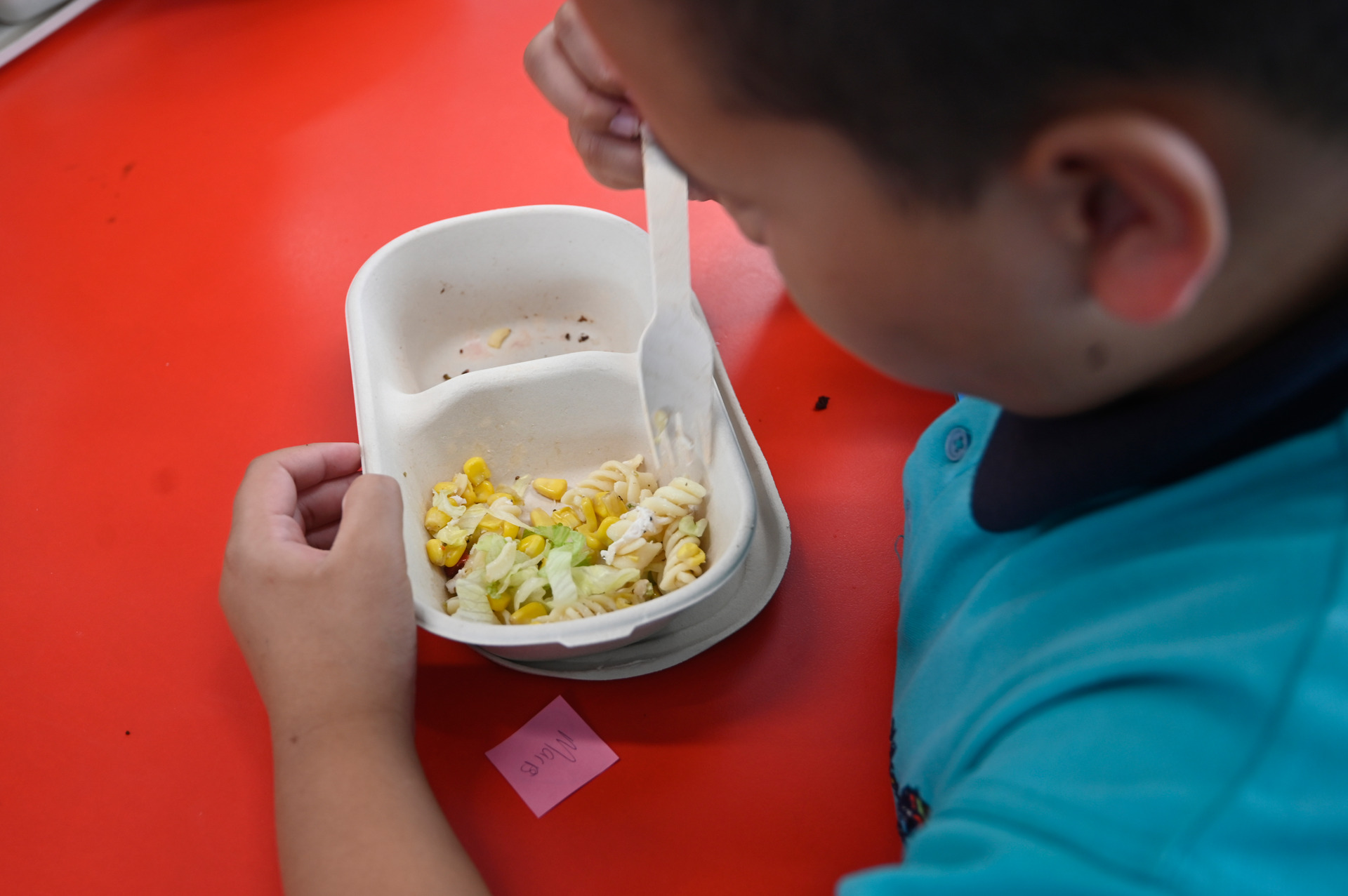 Kiwi kids going hungry at school are ending up years behind peers in key subjects, reveals a new analysis that also ranks New Zealand poorly for food poverty. Photo / George Novak