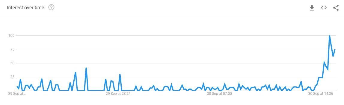 Photo / Google Trends