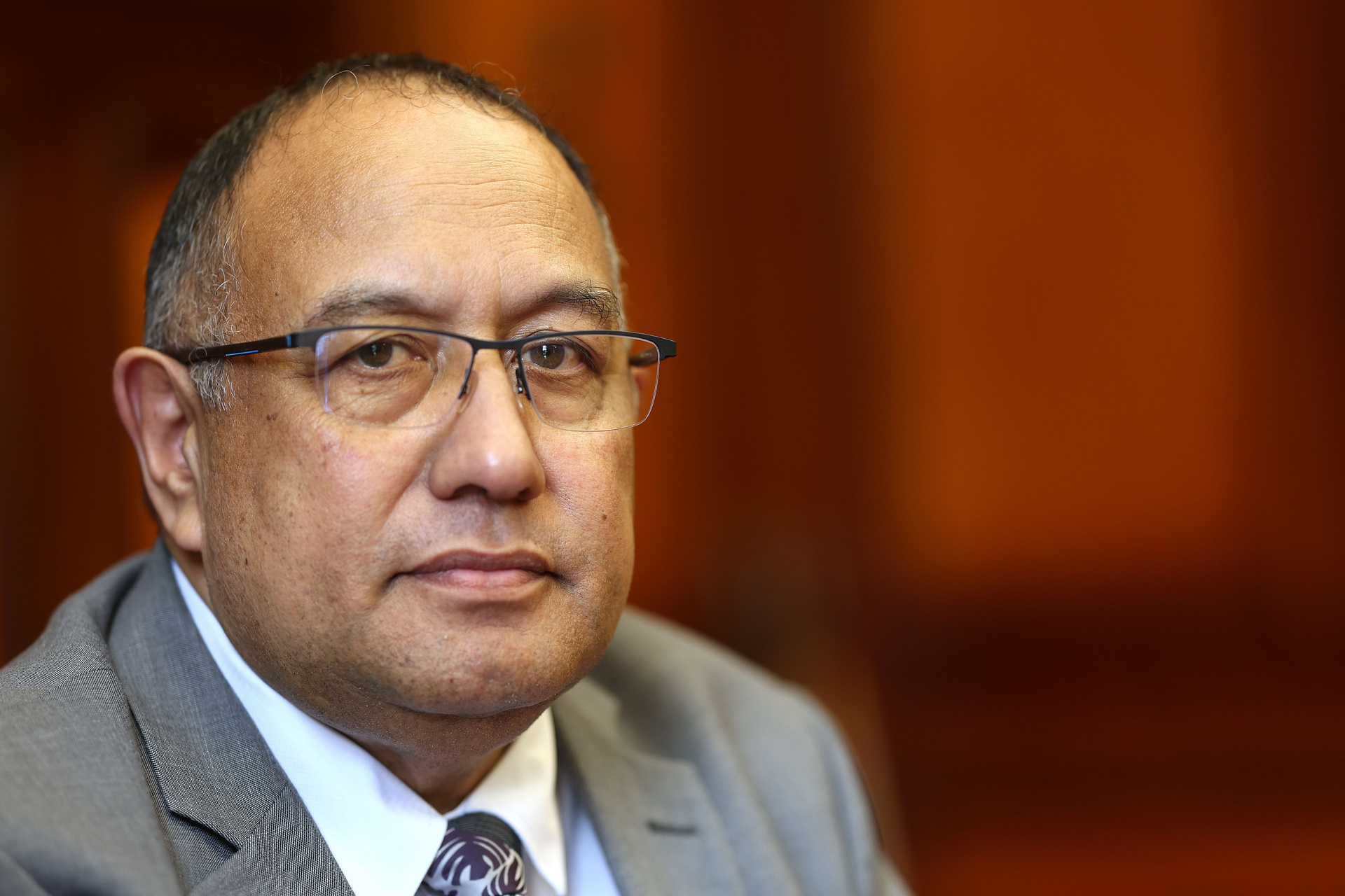 Speaker of the house Adrian Rurawhe describes the review as 'taking stock' of the current situation. Photo / Marty Melville