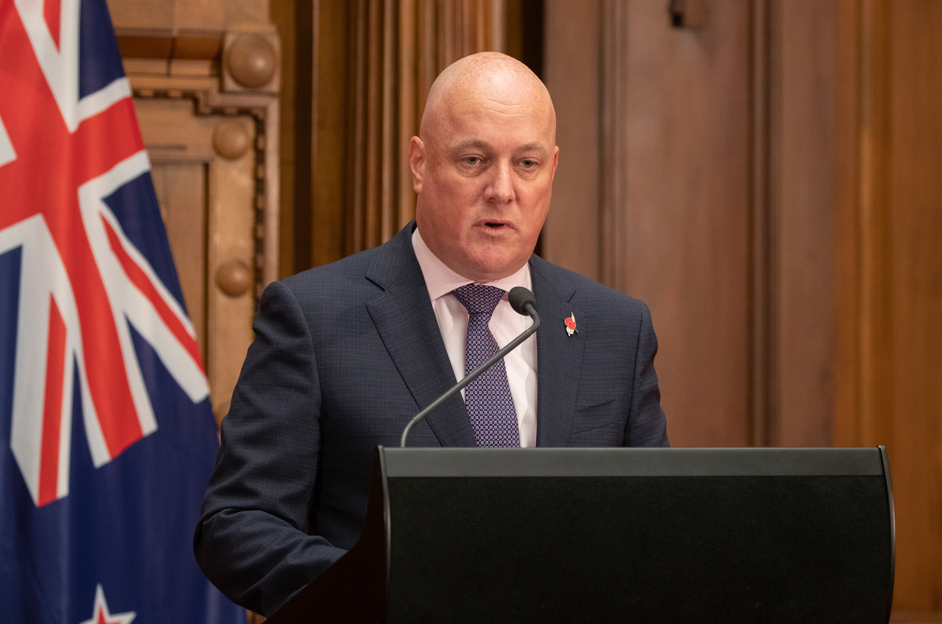 National leader Christopher Luxon. Photo / Mark Mitchell