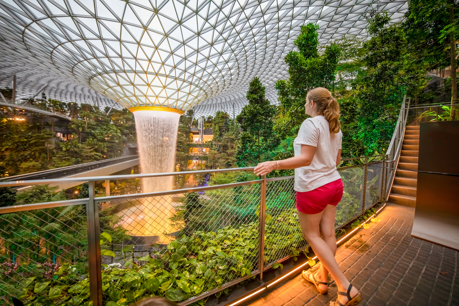 Singapore Changi Airport Butterfly Garden - Photo Tour • Point Me to the  Plane