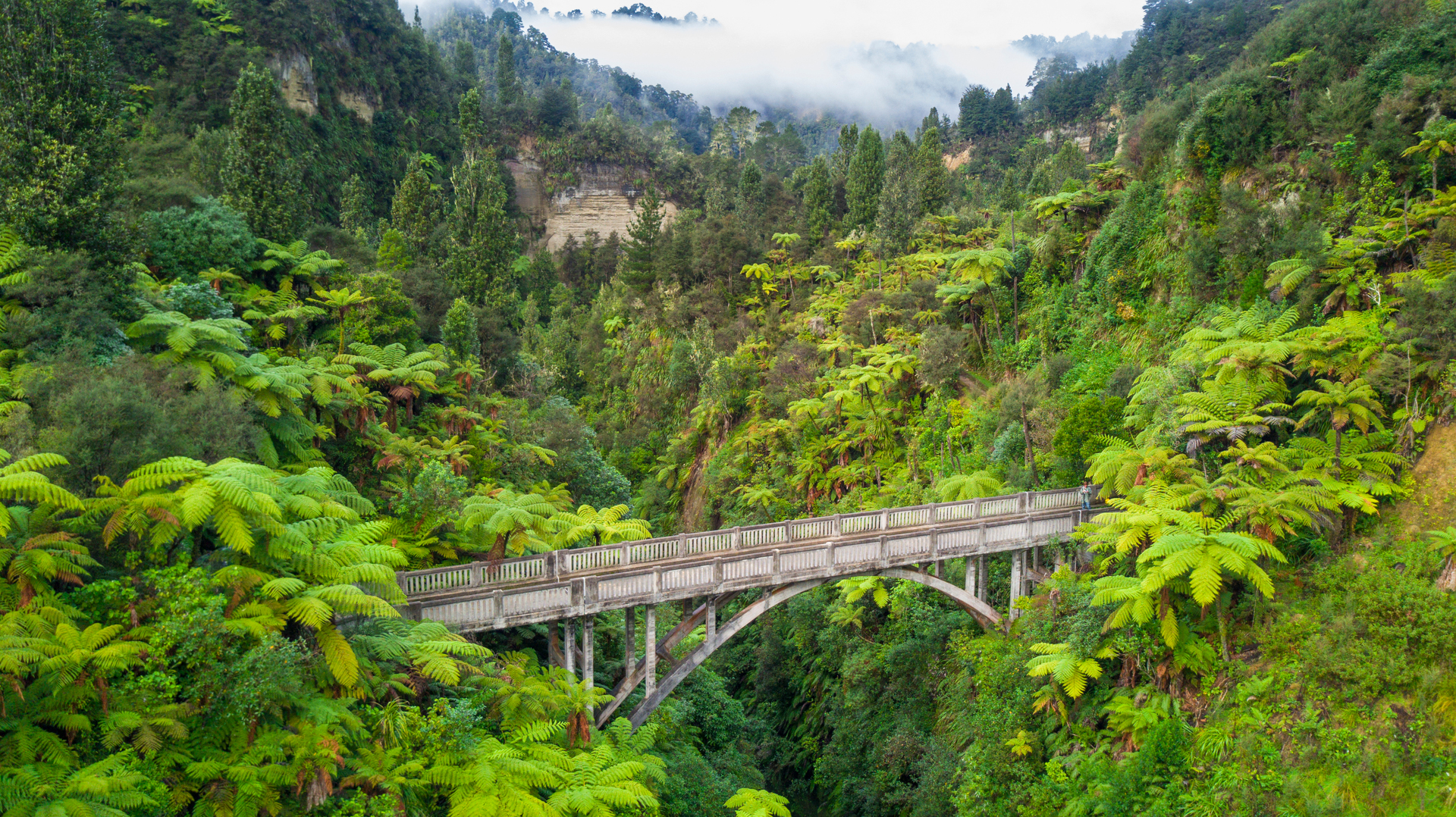 The Bridge to Nowhere, over the Whanganui River. Photo / Getty