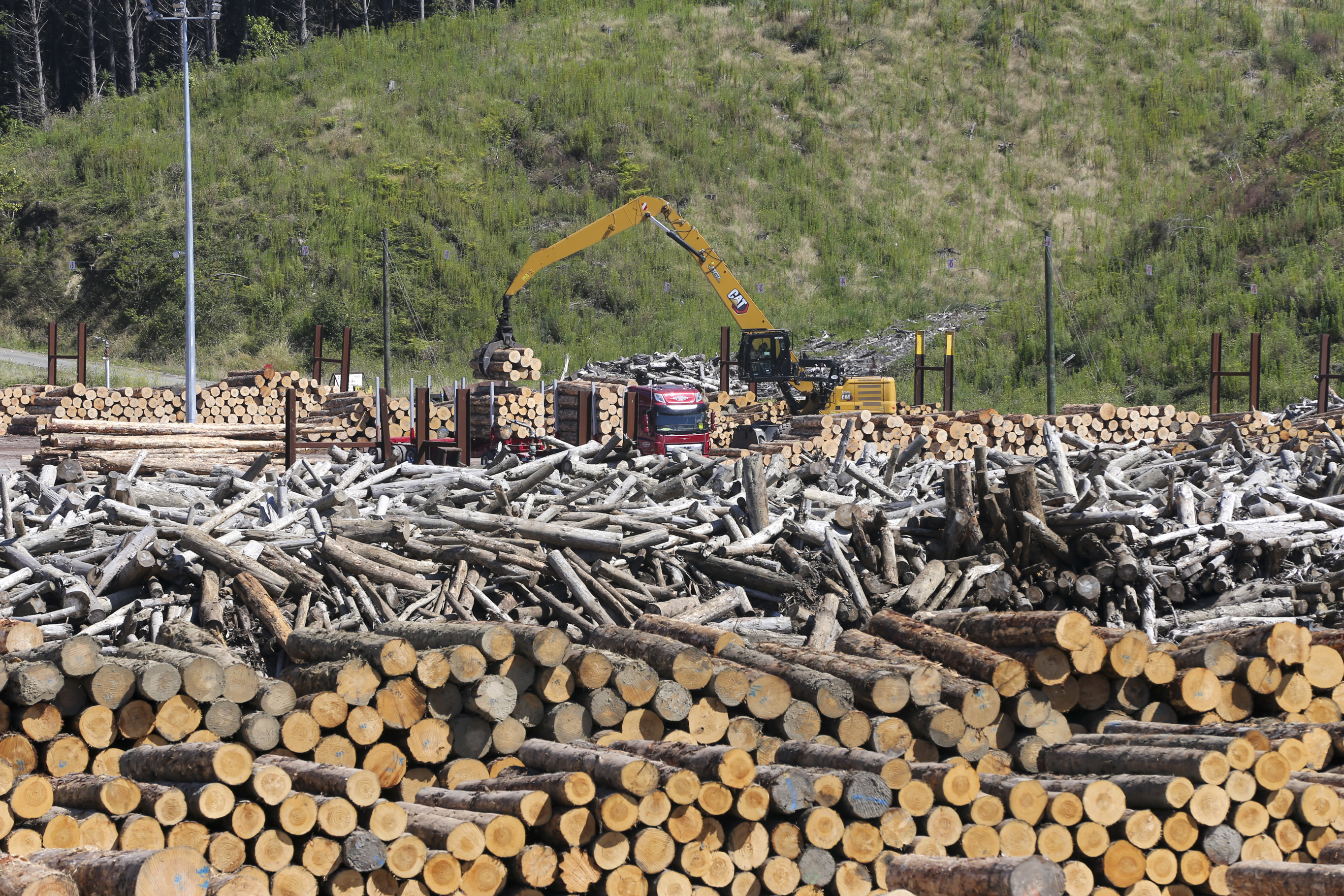 A high-stacker loader unloading a logging truck in the log yard at Pan Pac. The neatly stacked logs are destined for the sawmill, whereas the log pile is bound for the chip mill. Photo / Paul Taylor