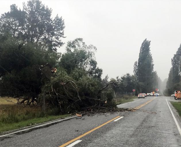 Hunter Rd, near Queenstown, is partly blocked by a fallen tree. Photo / Daisy Hudson