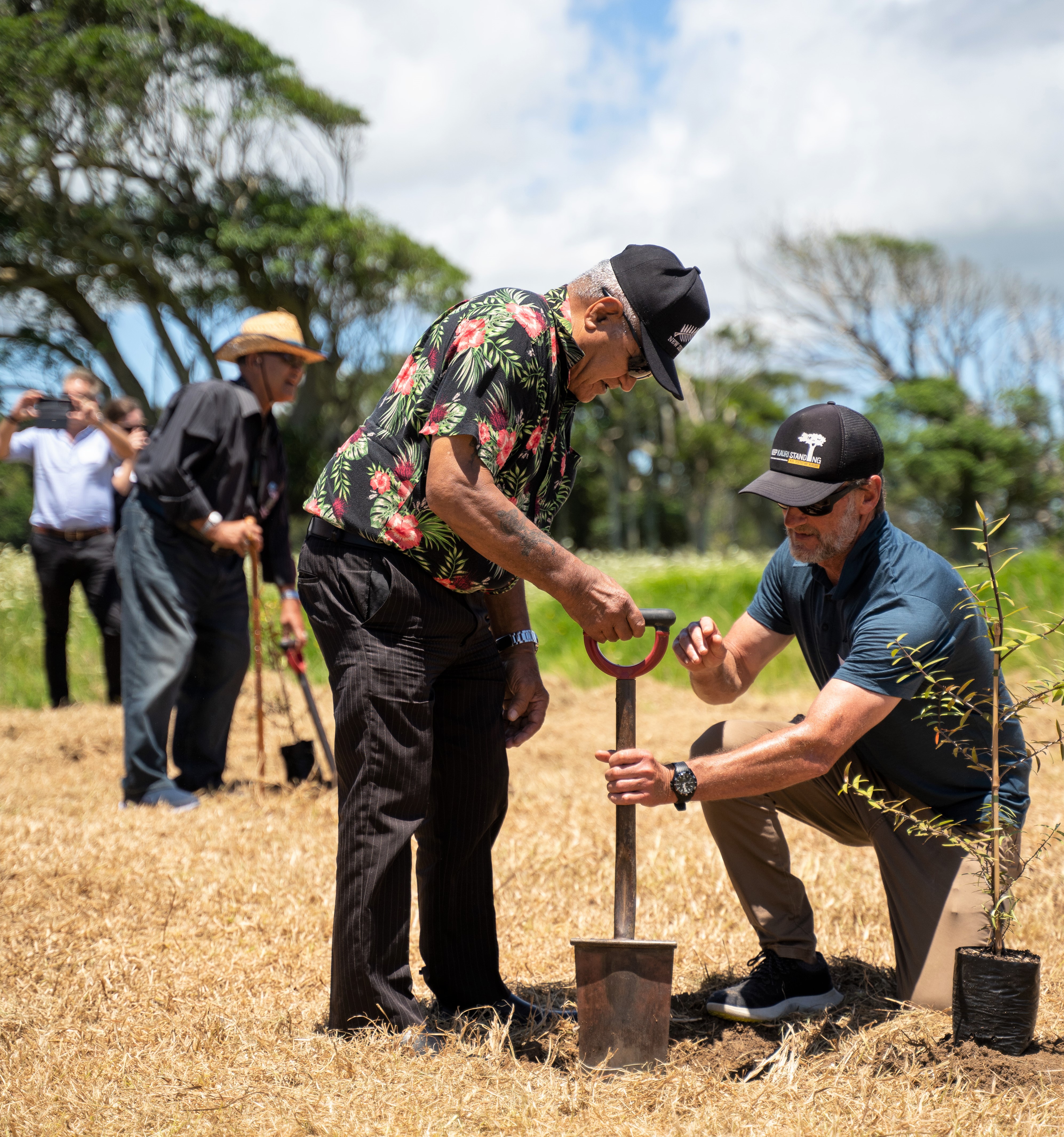 Matiu King, Eru Harawira and Paul Hansen plant kauri saplings during last week’s ground-breaking ceremony for a  solar farm near Kaitaia. Photo / Lodestone Energy