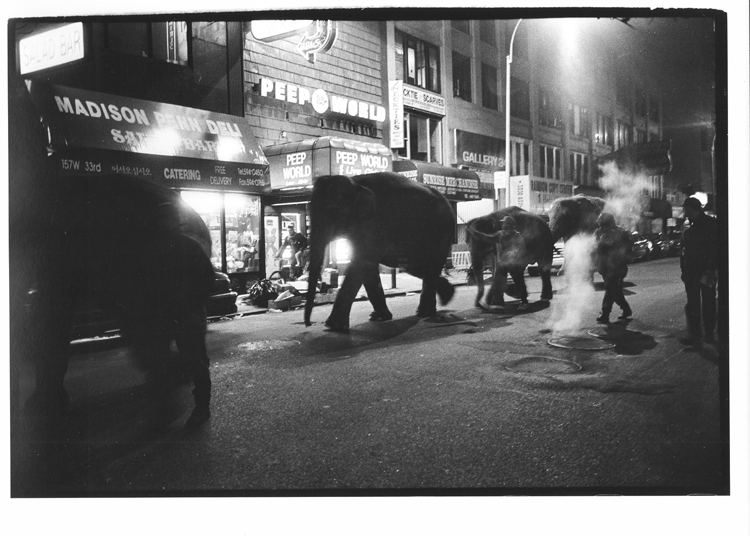 Elephants on a late-night march through midtown Manhattan on their way to the circus in 1993. Photo / Dafydd Jones via The New York Times