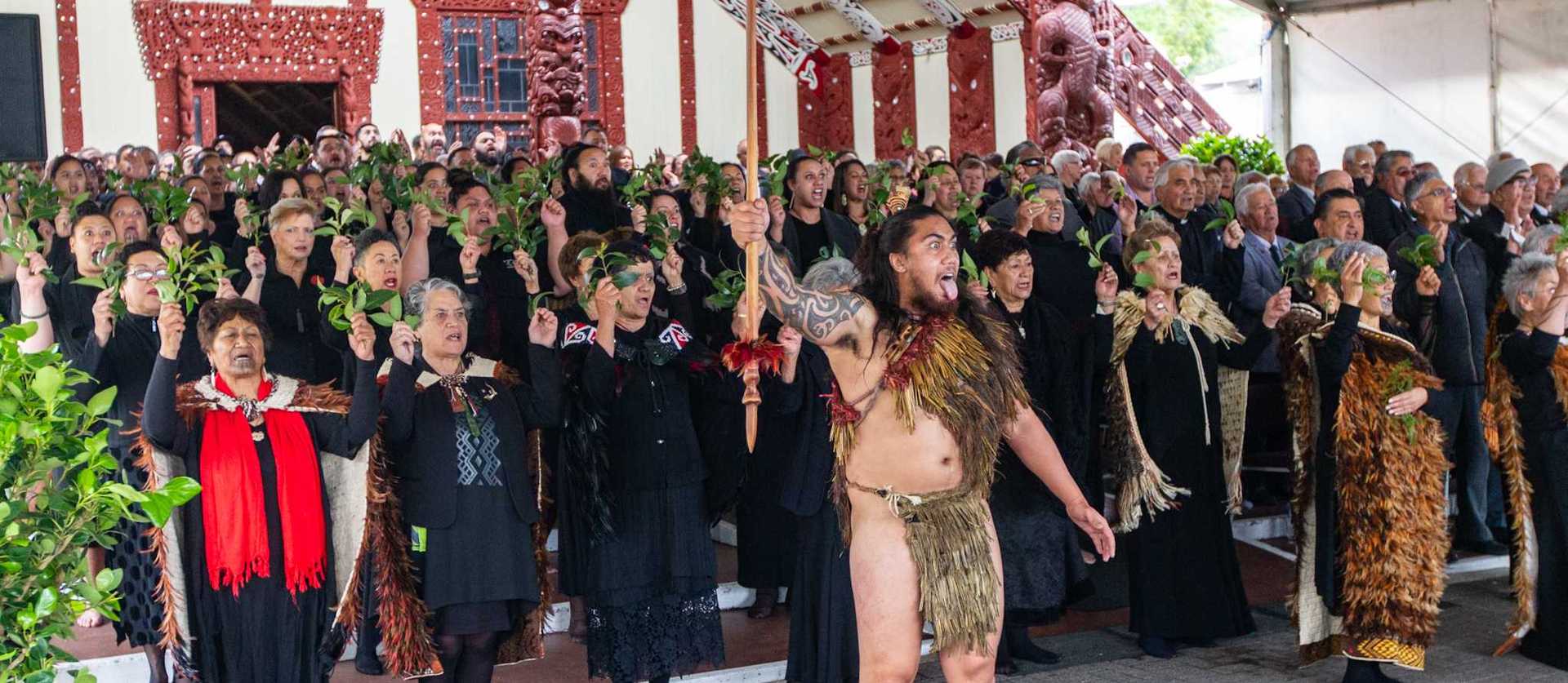 A rousing haka opened the ceremony with more than 100 taking part. Photo / Stephen Parker