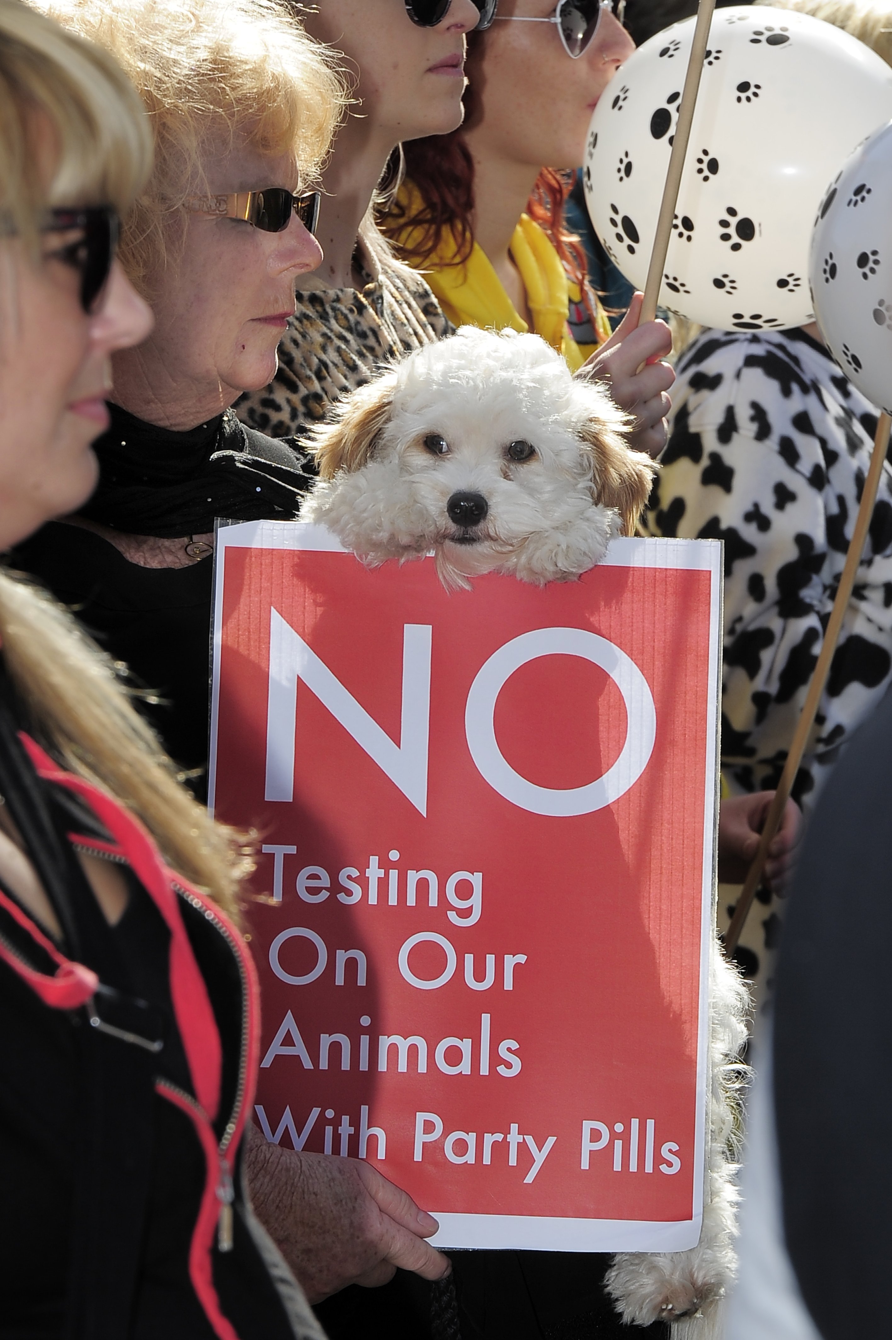 Key rules out animal testing on legal highs - NZ Herald