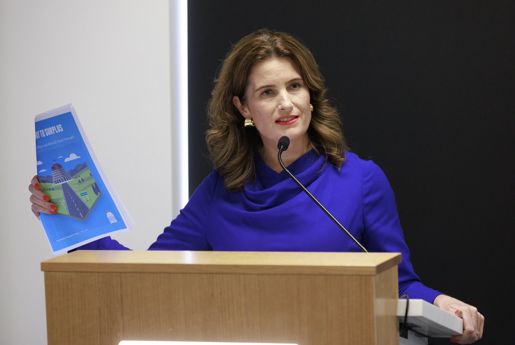 Finance Minister Nicola Willis said it was the Reserve Bank's job to keep inflation in the target range. Photo / Mark Mitchell