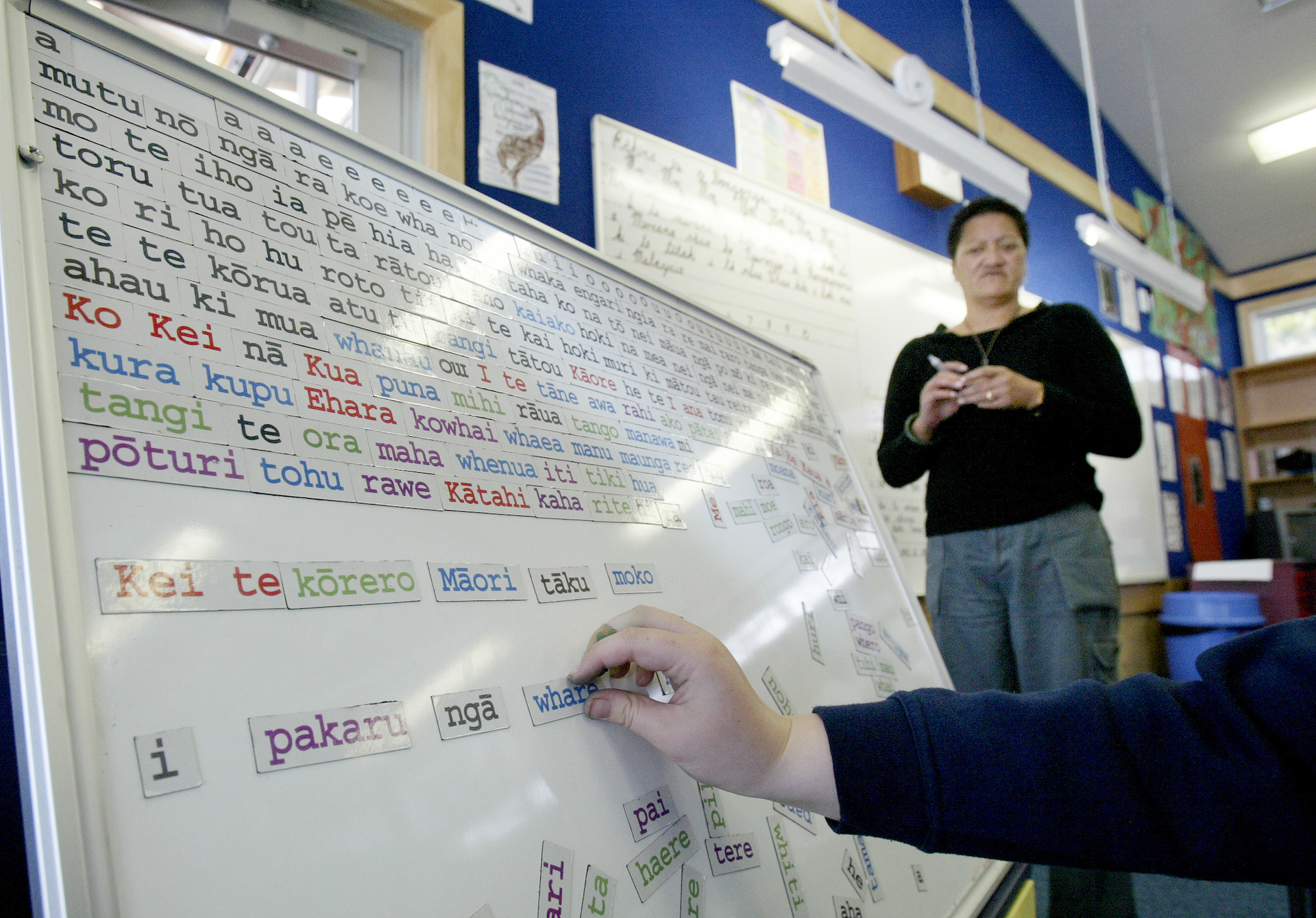 More than a dozen state agencies pay te reo allowances, starting at $500 a year. Photo / NZME