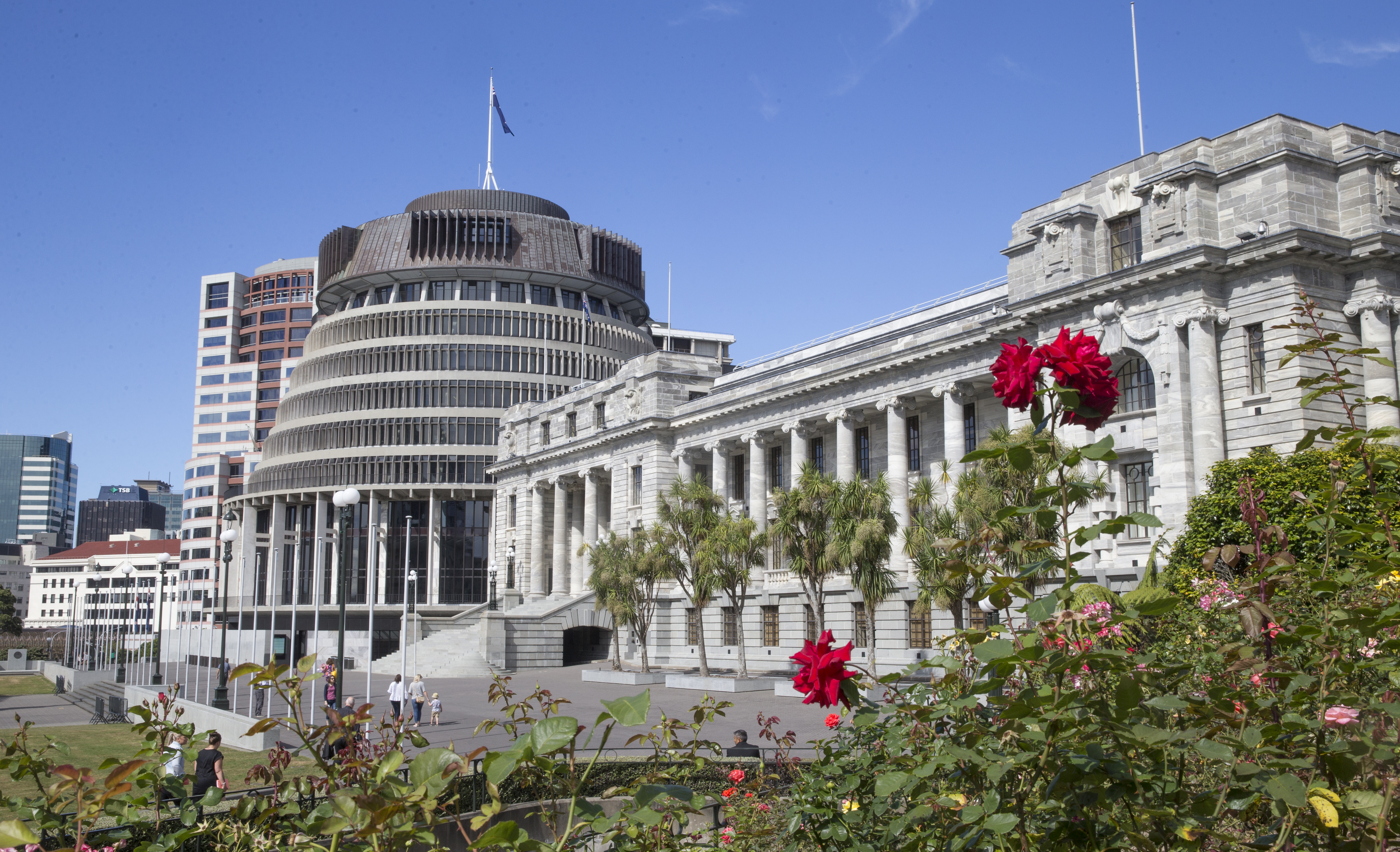 Parliament's law drafters, the Parliamentary Counsel Office, say there have been three distinct phases of Treaty clauses in legislation. Photo / Mark Mitchell