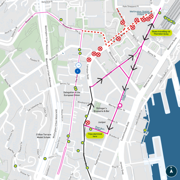The Wellington Station Bus interchange will be closed when Hīkoi mō te Tiriti  is at Parliament Grounds. Photo / Metlink