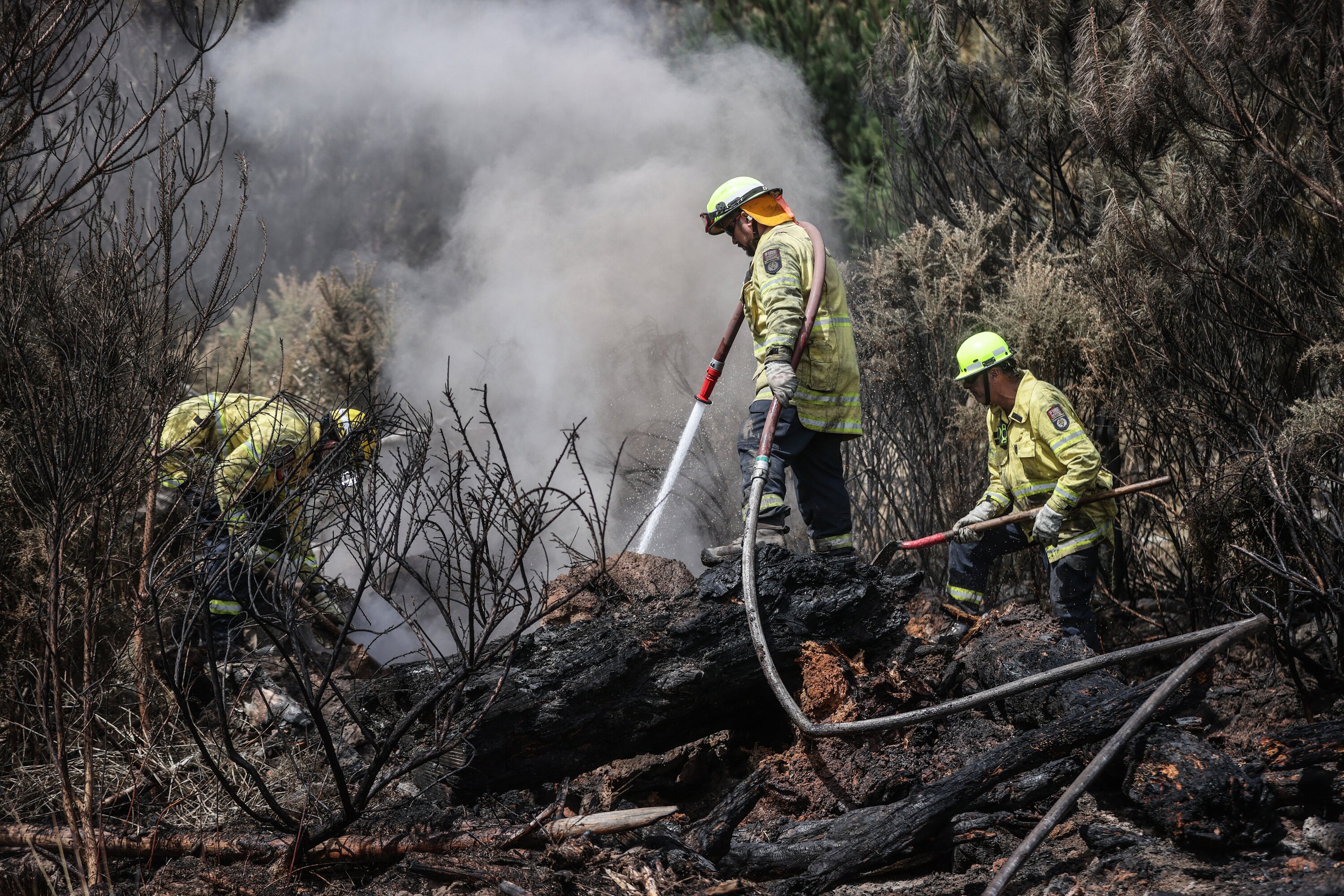 Firefighters continue their efforts to dampen down remaining hot spots. Photo / Chris Skelton