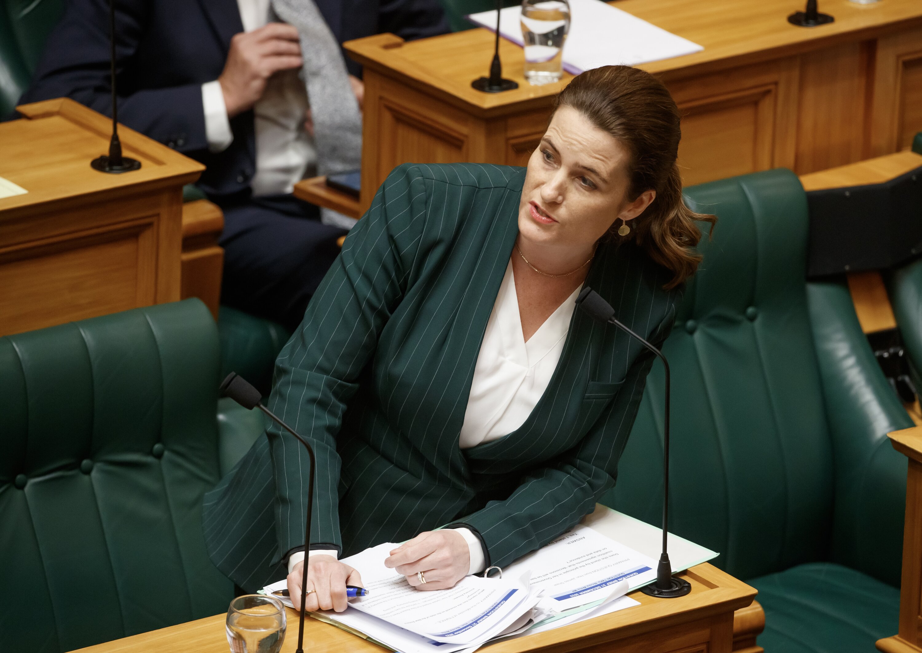 Finance Minister Nicola Willis has said just 21 per cent of the $3 billion cost was associated with the core project of replacing KiwiRail’s ferries. Photo / Mark Mitchell