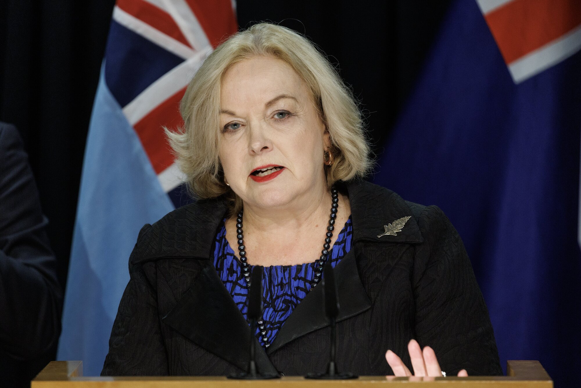 Minister Judith Collins will reveal the committee's decision tomorrow. Photo / Mark Mitchell