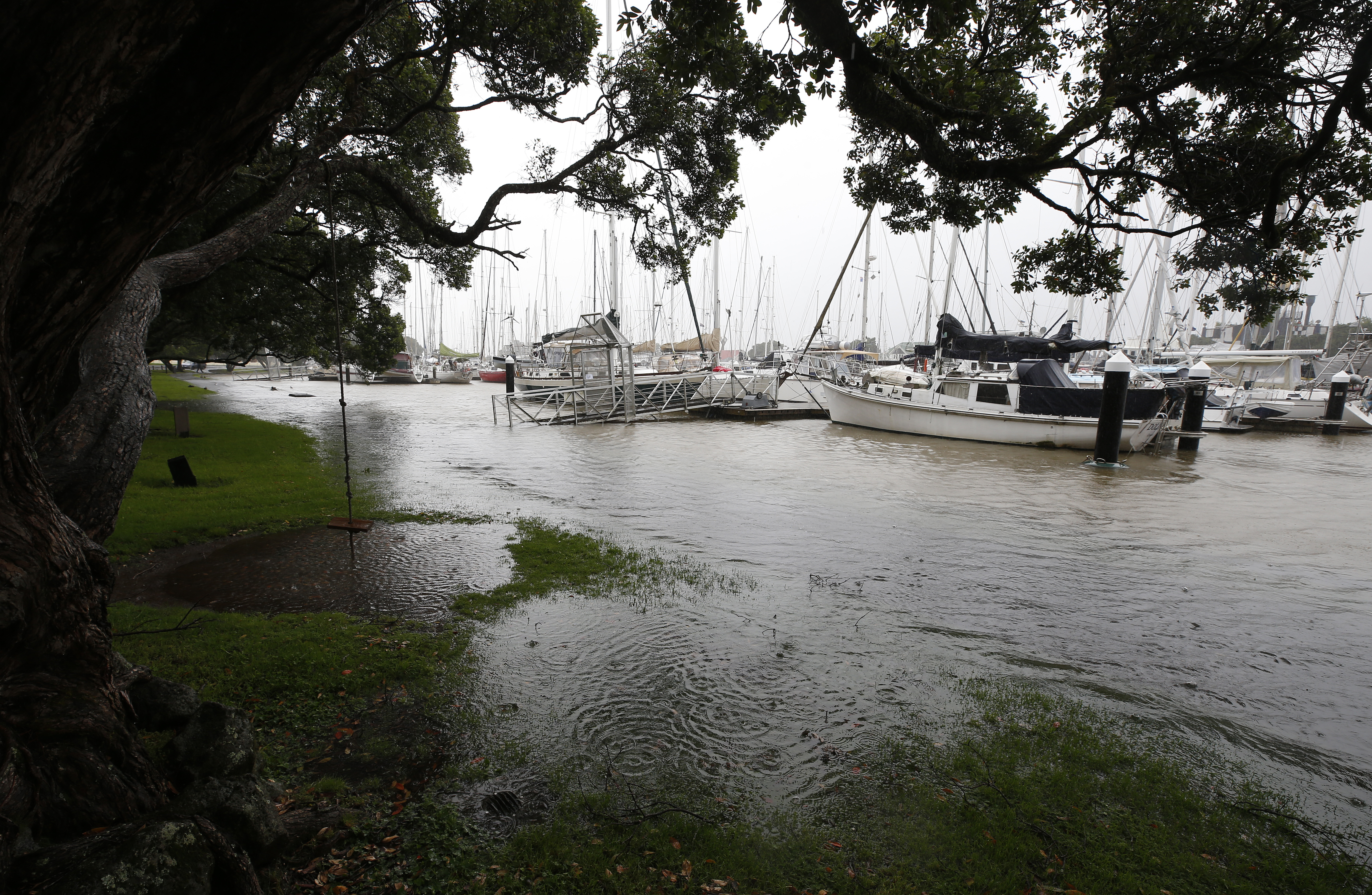 The Whangārei Town Basin flooding around high tide on Sunday. Photo / Michael Cunningham