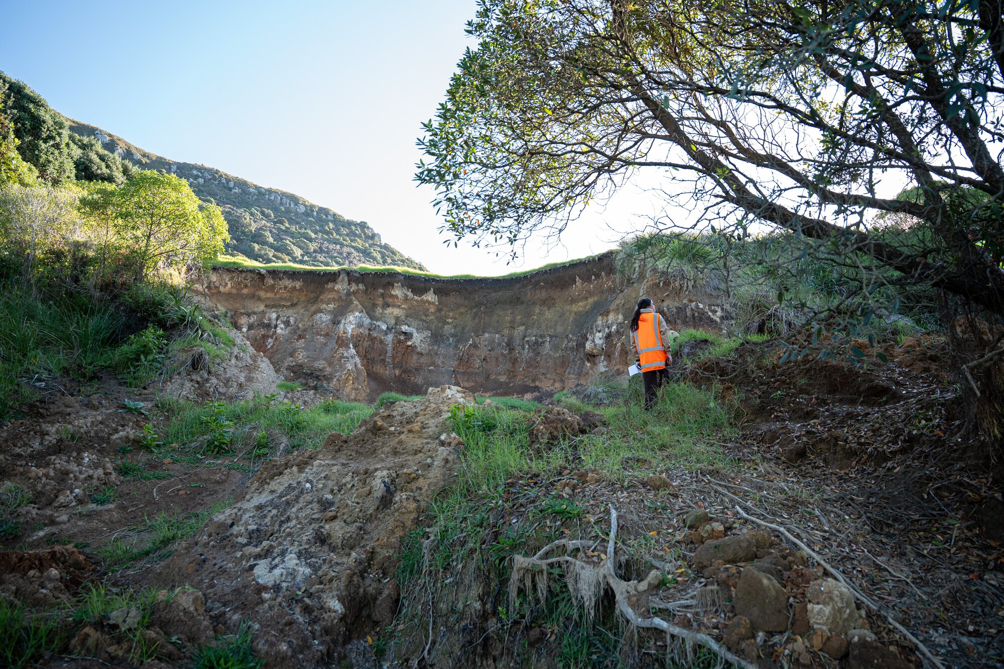 One of the larger landslides on Mauao's base track. Photo / Alyse Wright