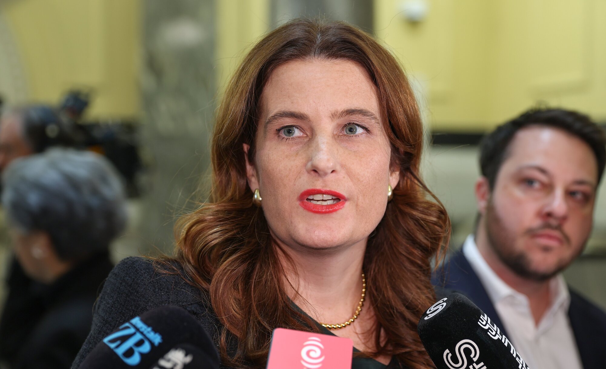 Finance Minister Nicola Willis predictably rubbished the Opposition parties' policies. Photo / Mark Mitchell


