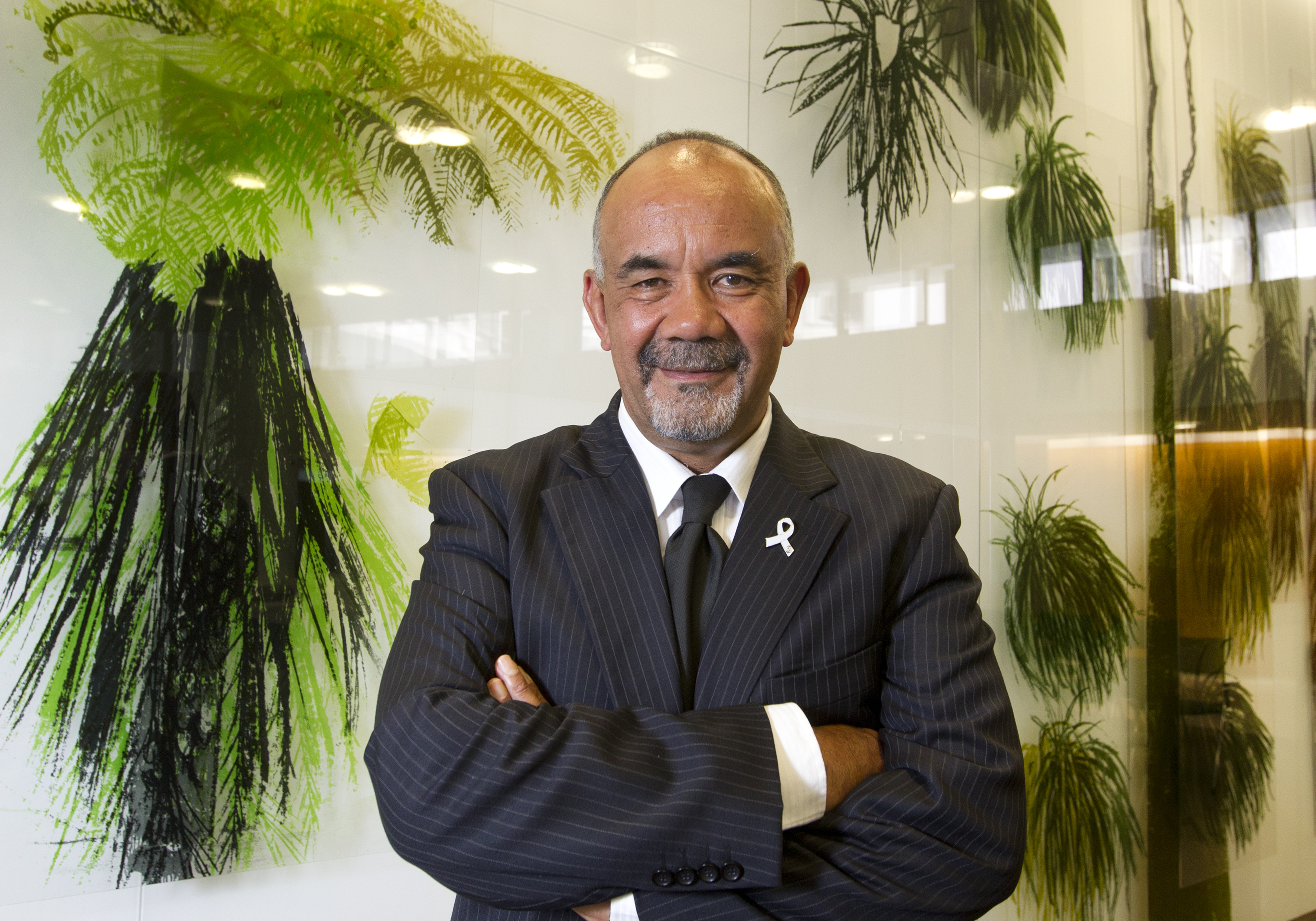 Former Māori Development Minister Te Ururoa Flavell. Photo / Mark Mitchell