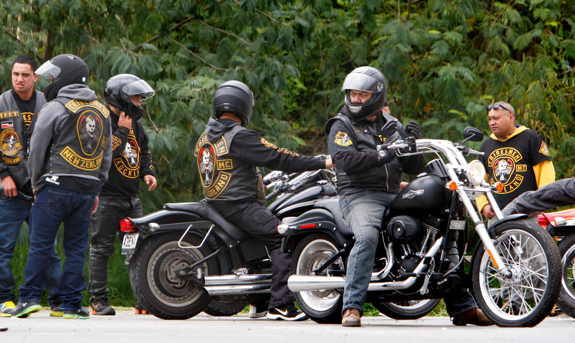The Tribesmen are in the middle of a turf war with the Killer Beez. Photo / File