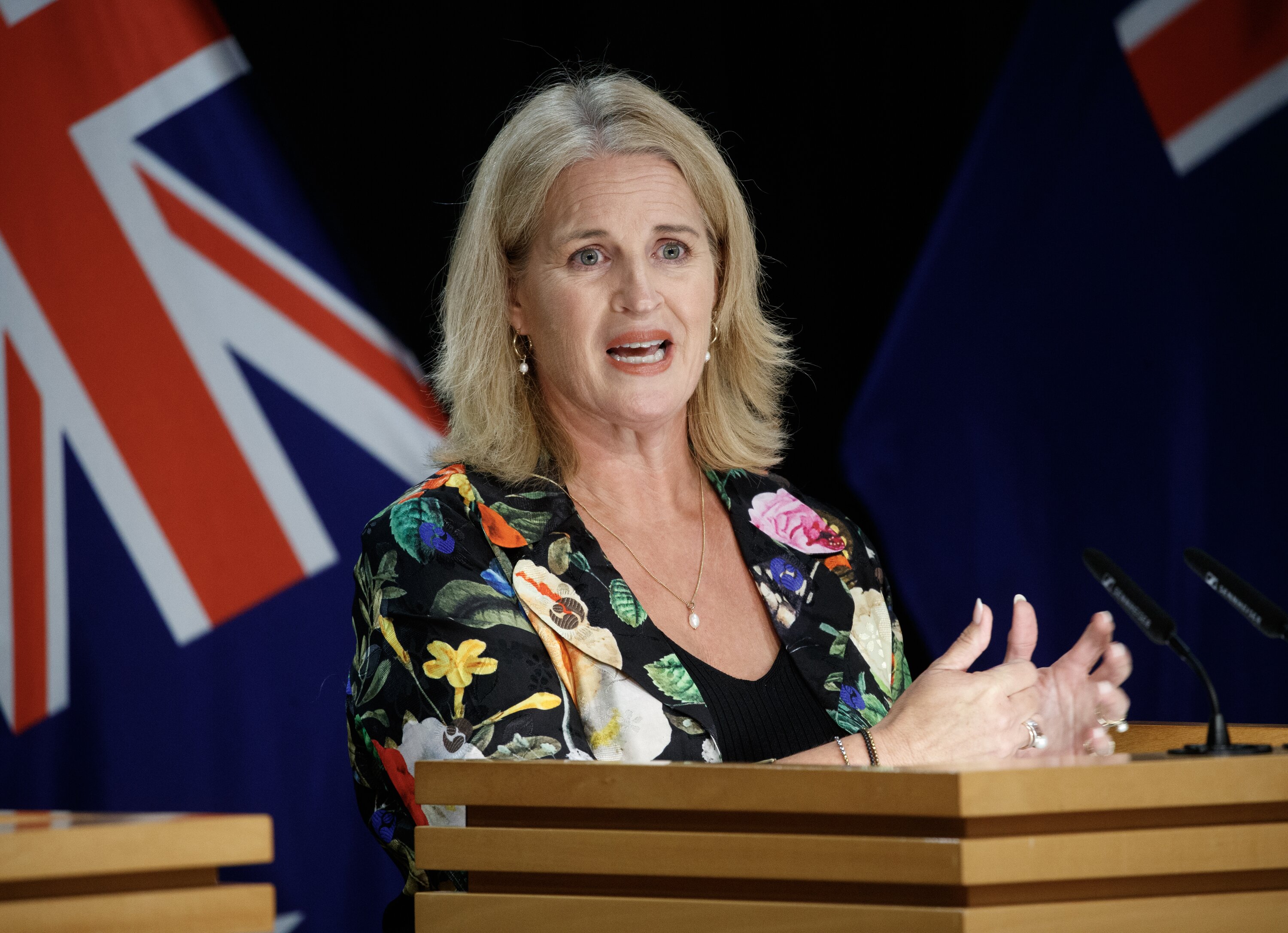 Social Development Minister Louise Upston announced the new seminar obligation today. Photo / Mark Mitchell