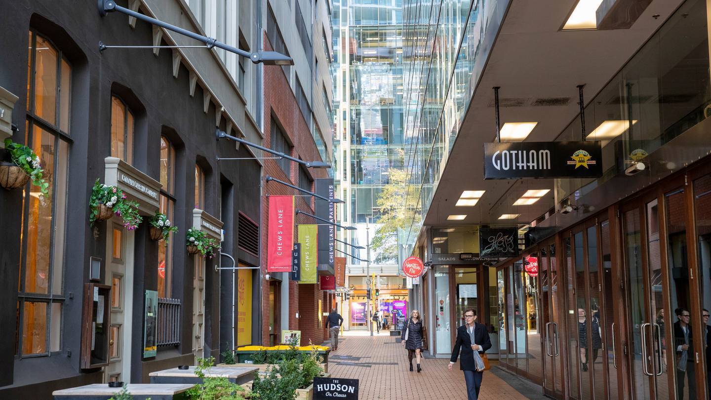 Wellington City. Photo / Mark Mitchell