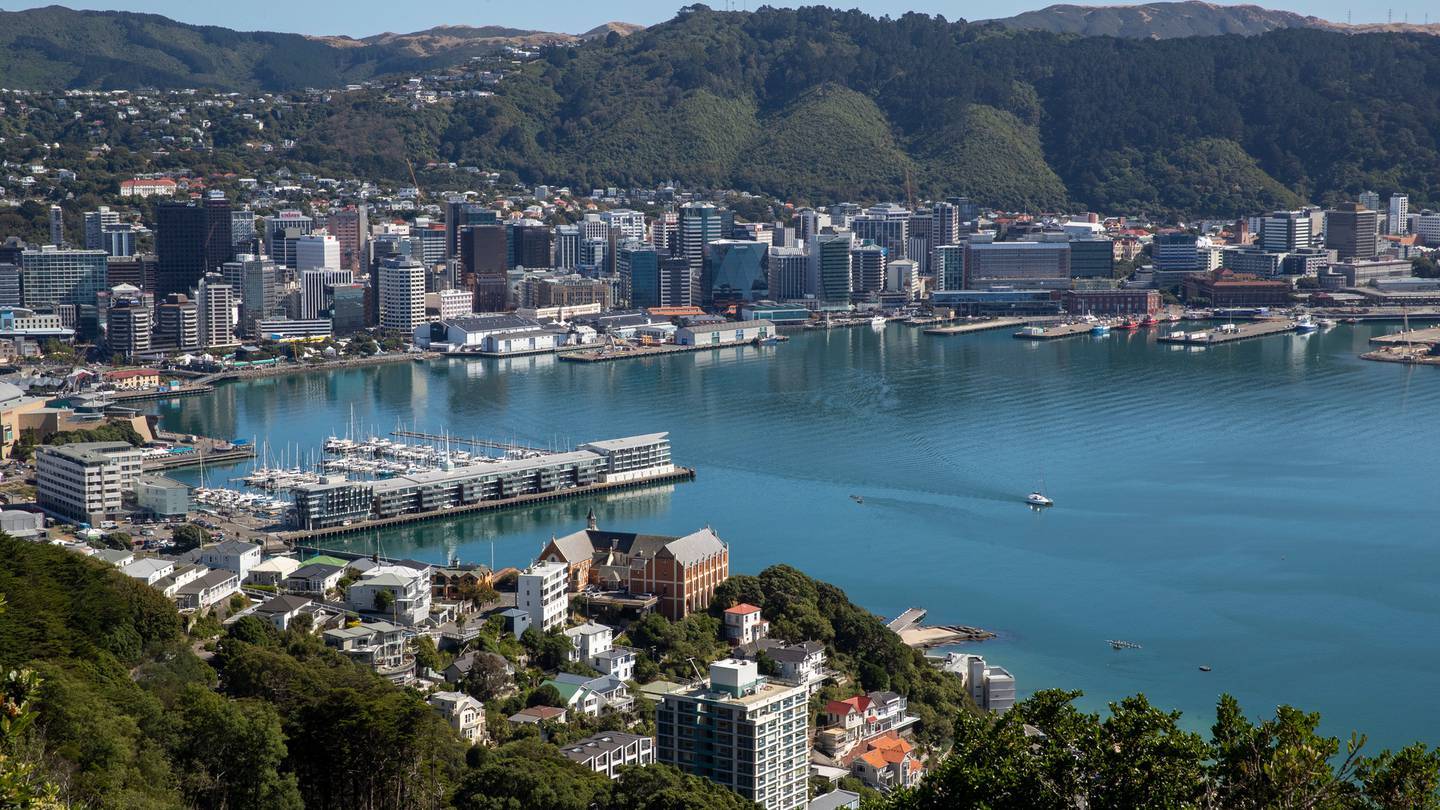 Wellington City. Photo / Mark Mitchell