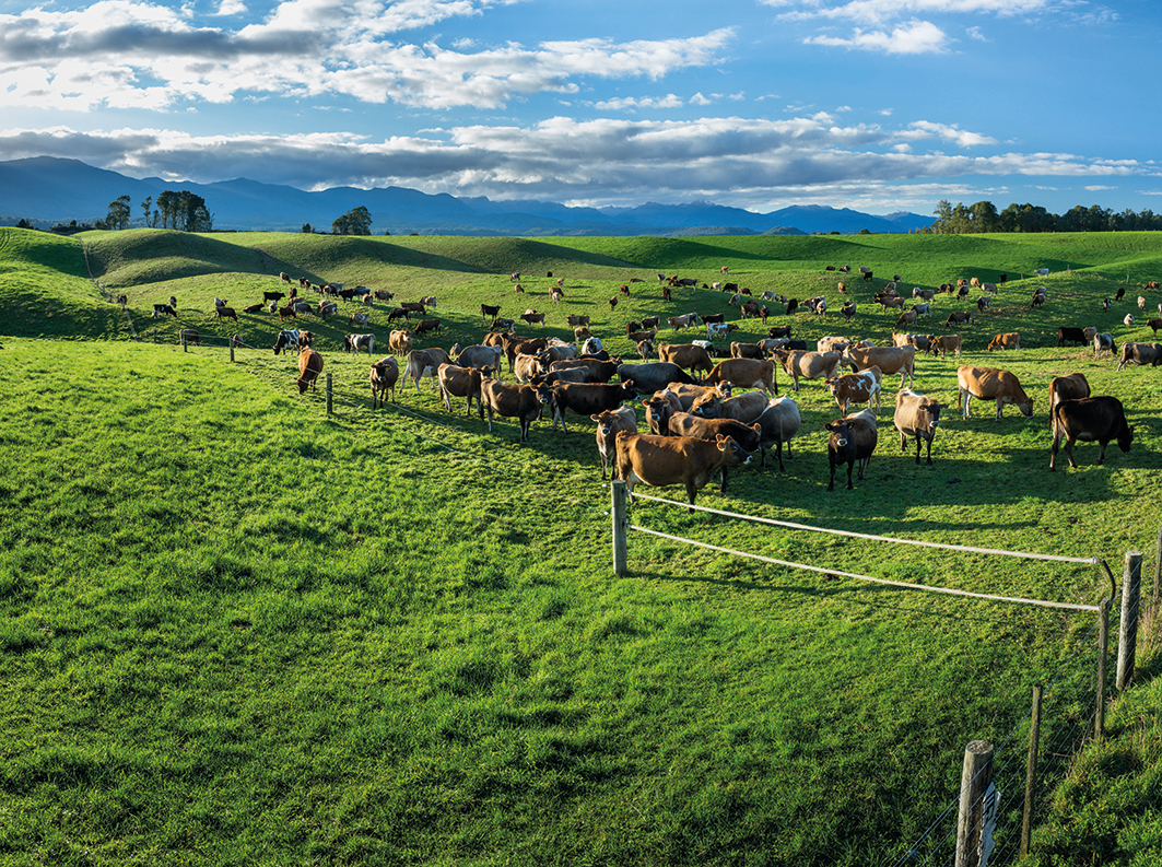 A shift towards protein is helping to underpin dairy prices, DairyNZ chief Campbell Parker says.