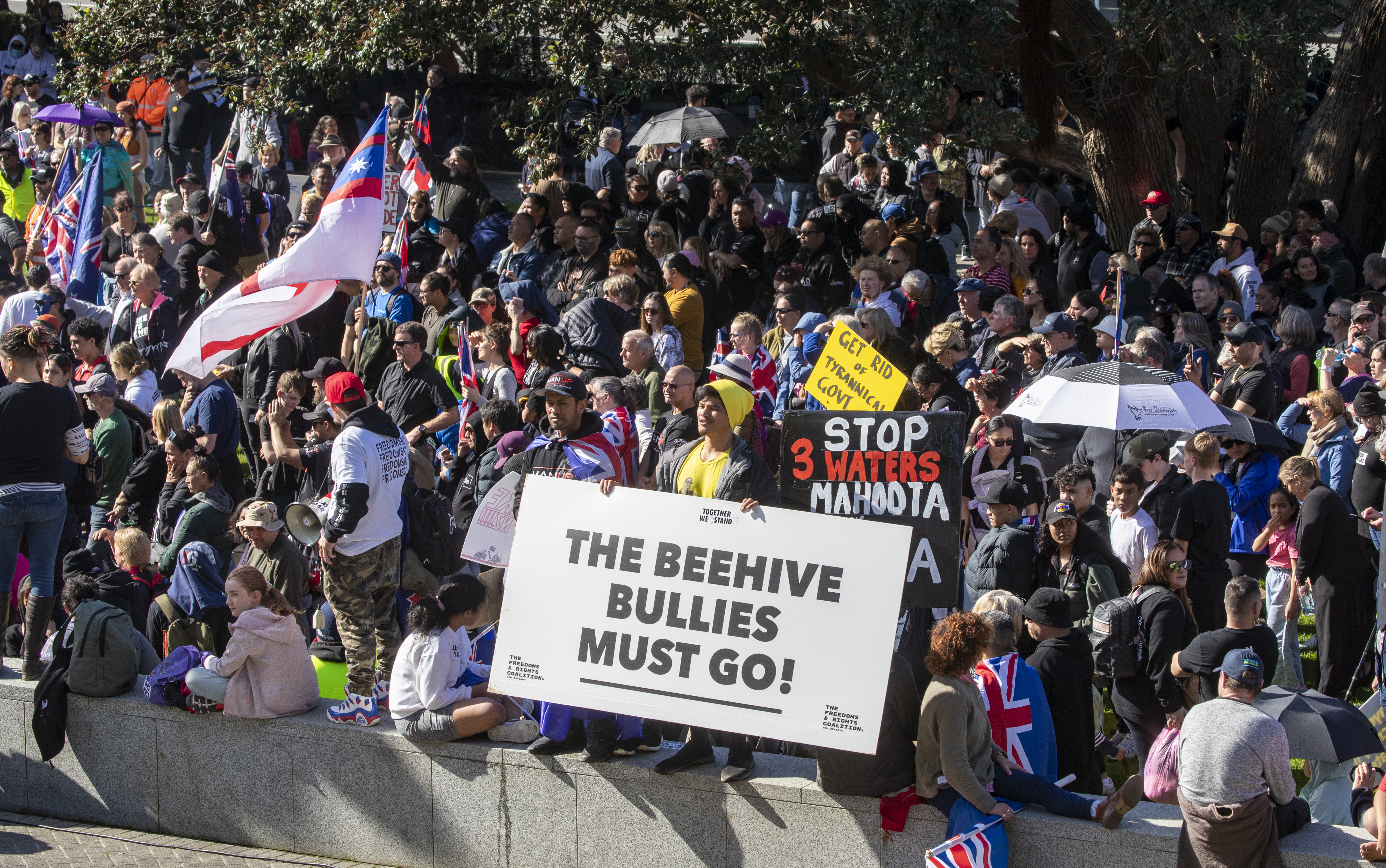 The crowd from Brian Tamaki's last protest at Parliament in August. Photo / Mark Mitchell