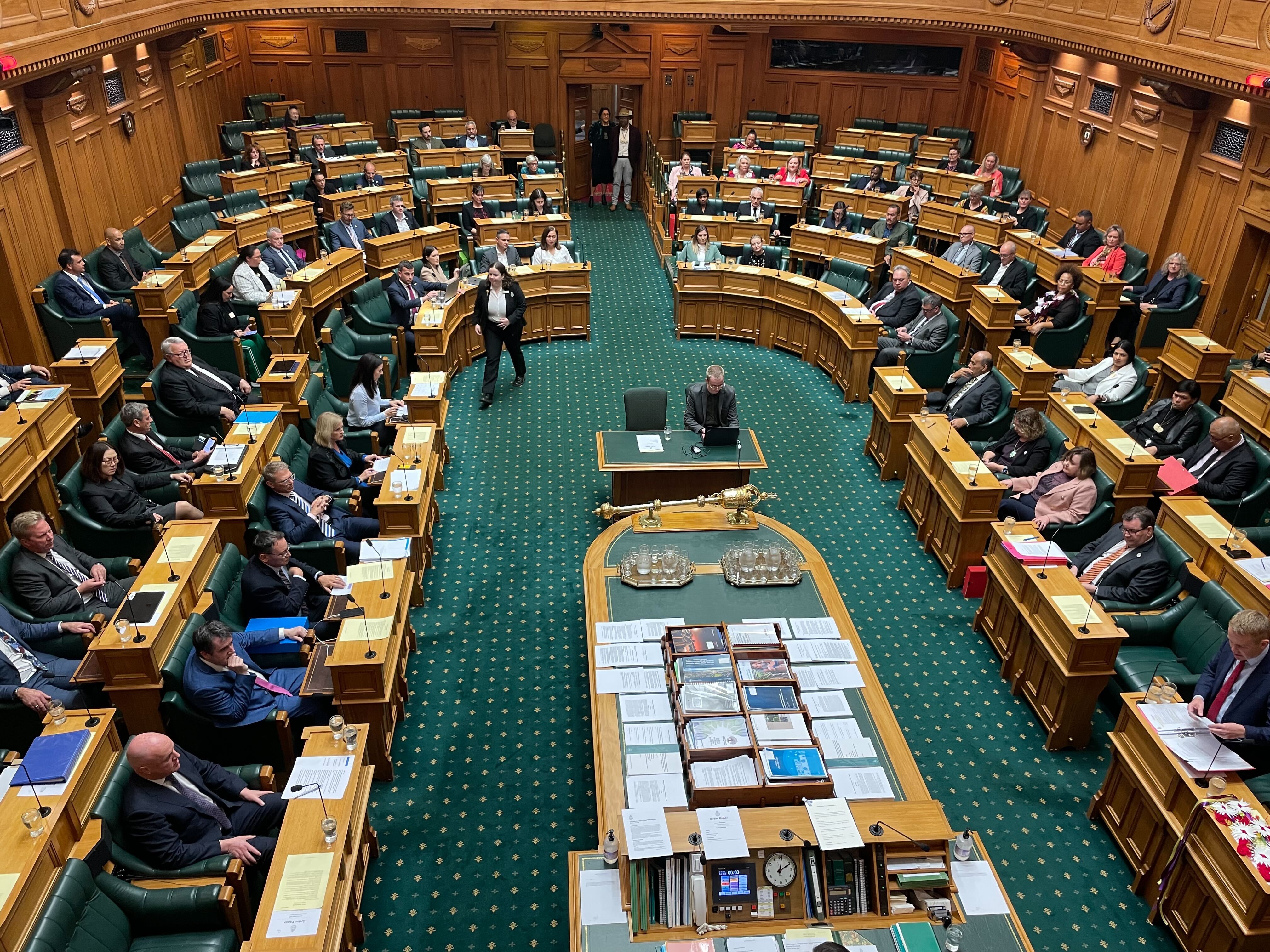 Meka Whaitiri about to enter the debating chamber with Te Pāti Māori co-leader Rawiri Waititi at 2pm. Photo / Michael Neilson