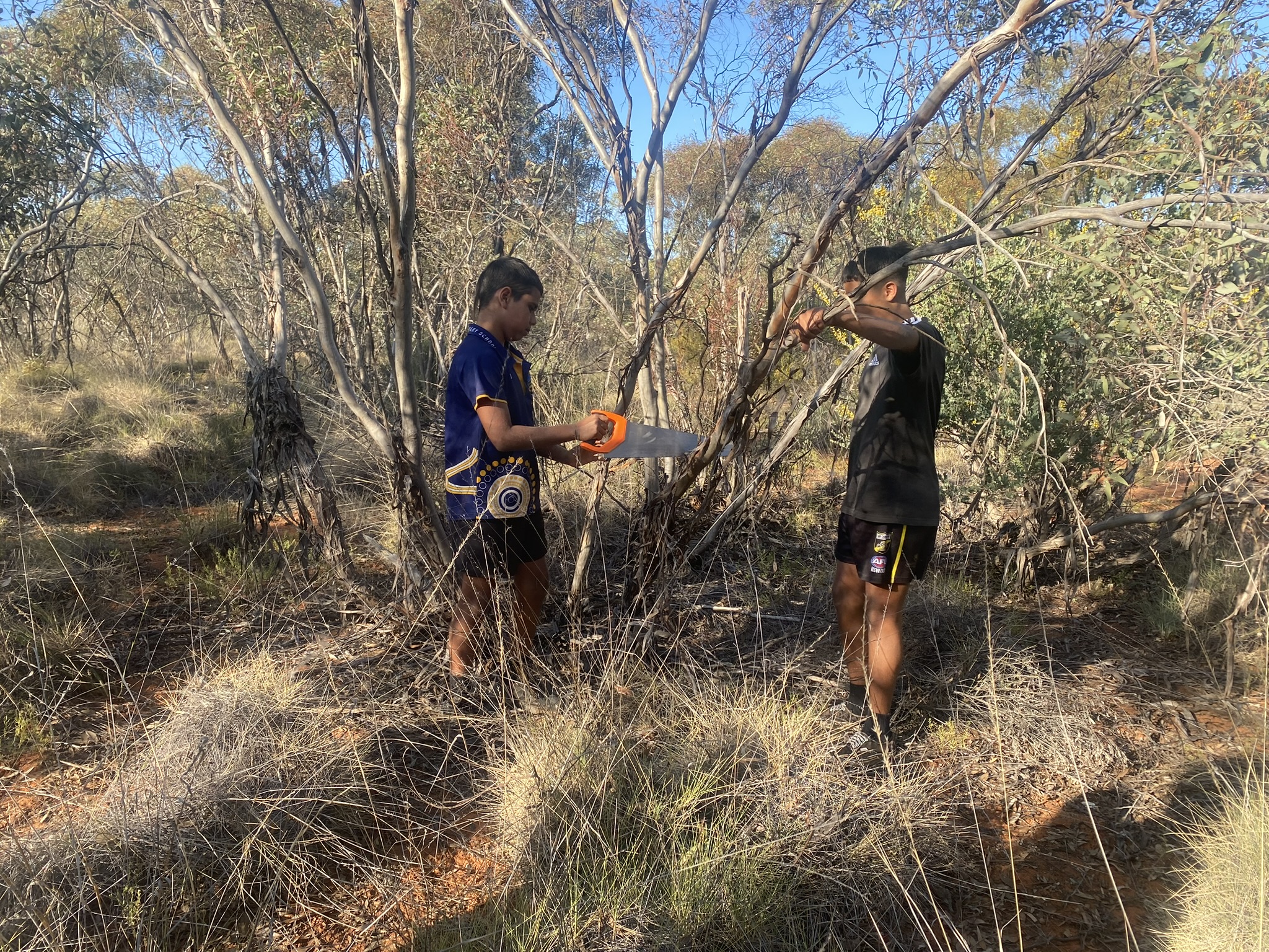 DTT boys hunting for branches they can use to make their own didgeridoo. It takes a special branch to start their journey, which connects them to country and culture. Photo / Anna Leask